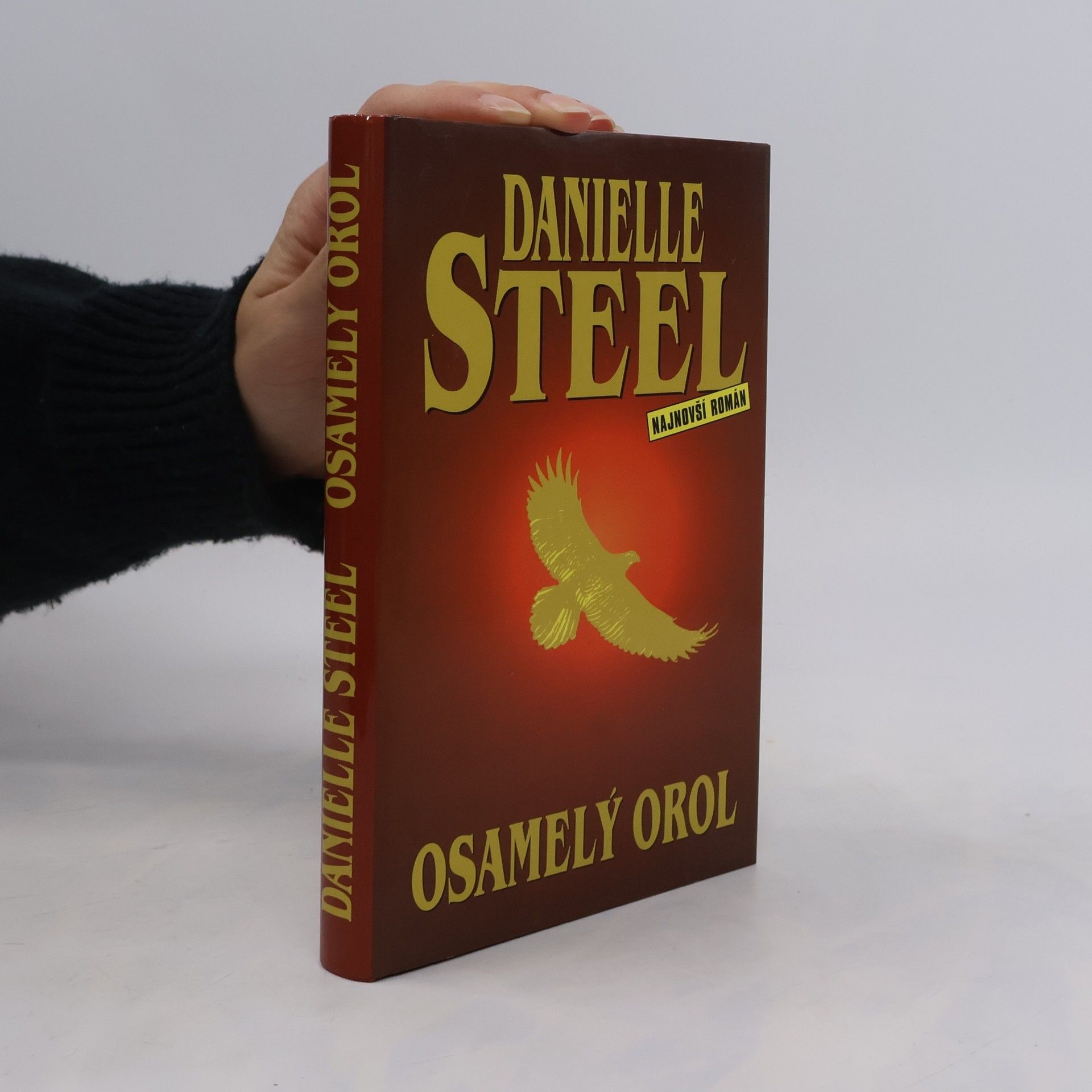 Danielle Steelová Osamelý orol