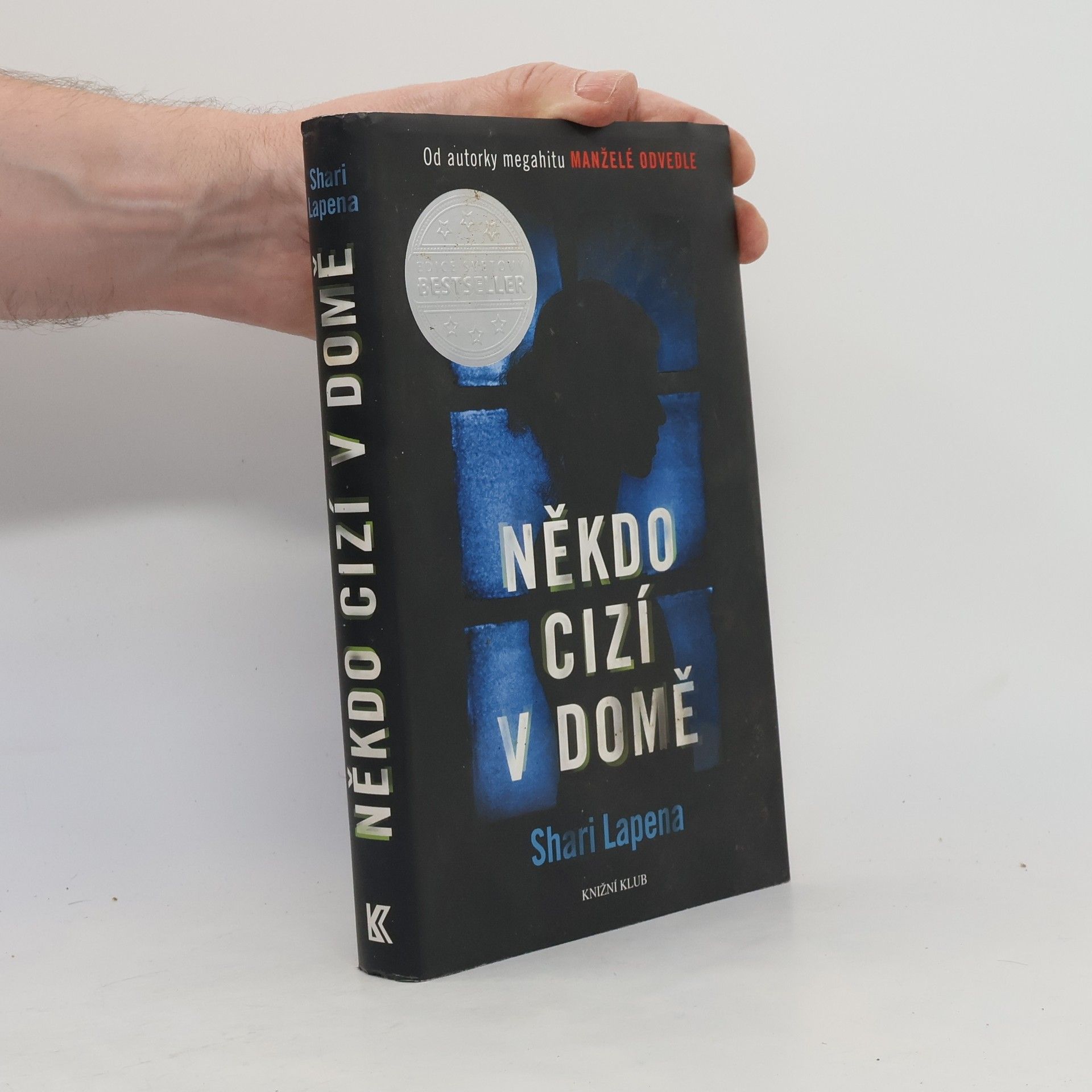 Shari Lapenová Někdo cizí v domě