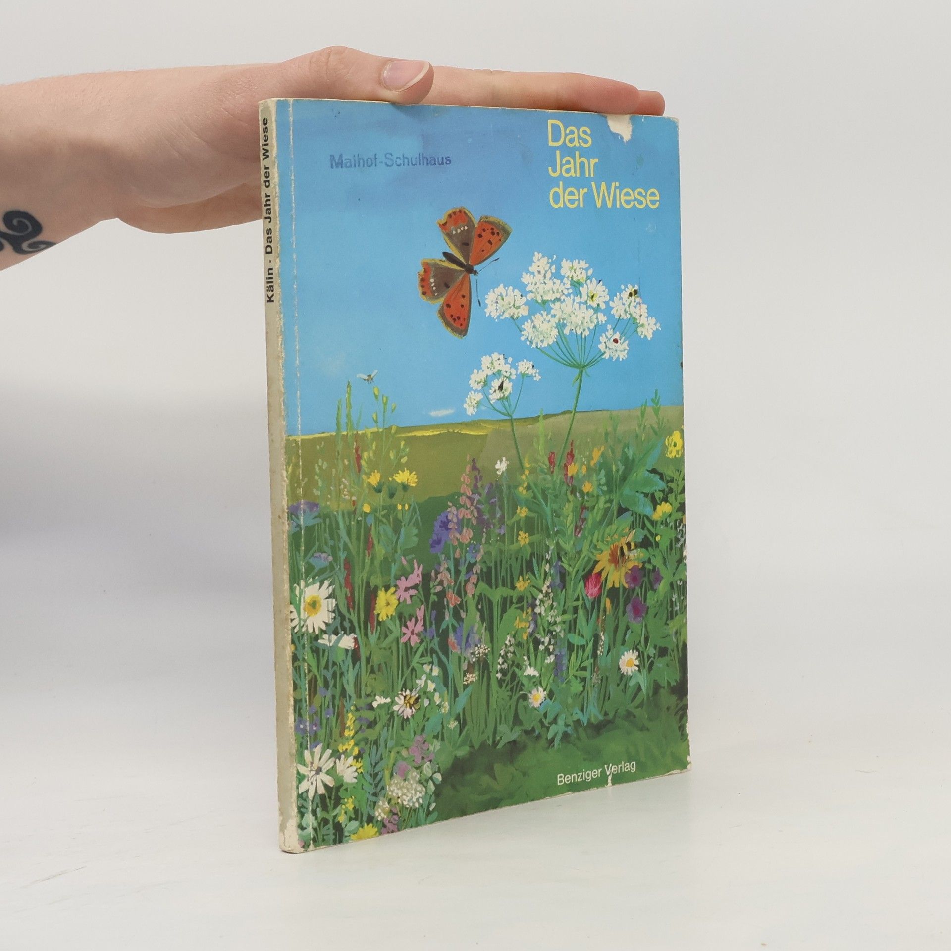 Autorenkollektiv Das Jahr der Wiese