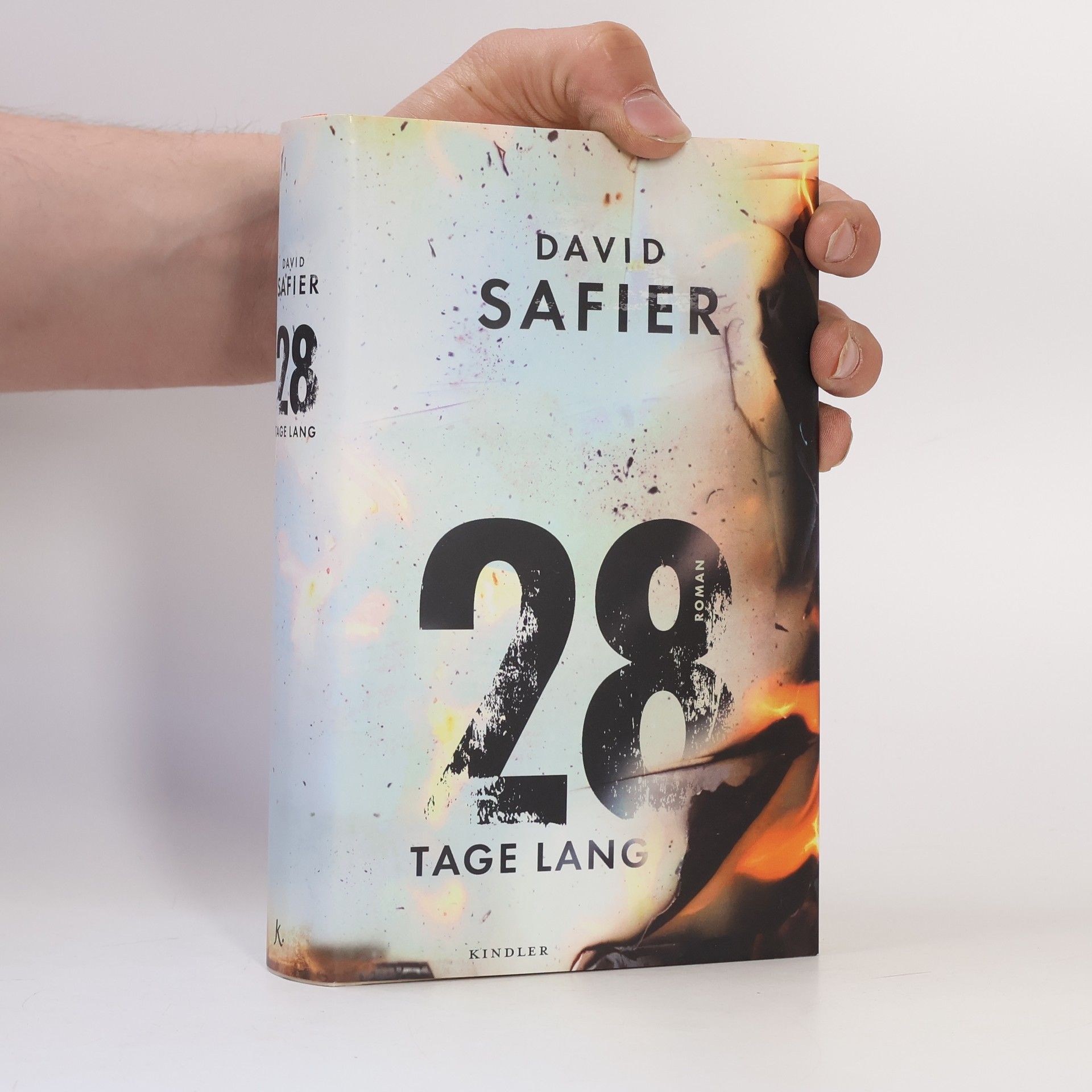 David Safier 28 Tage lang