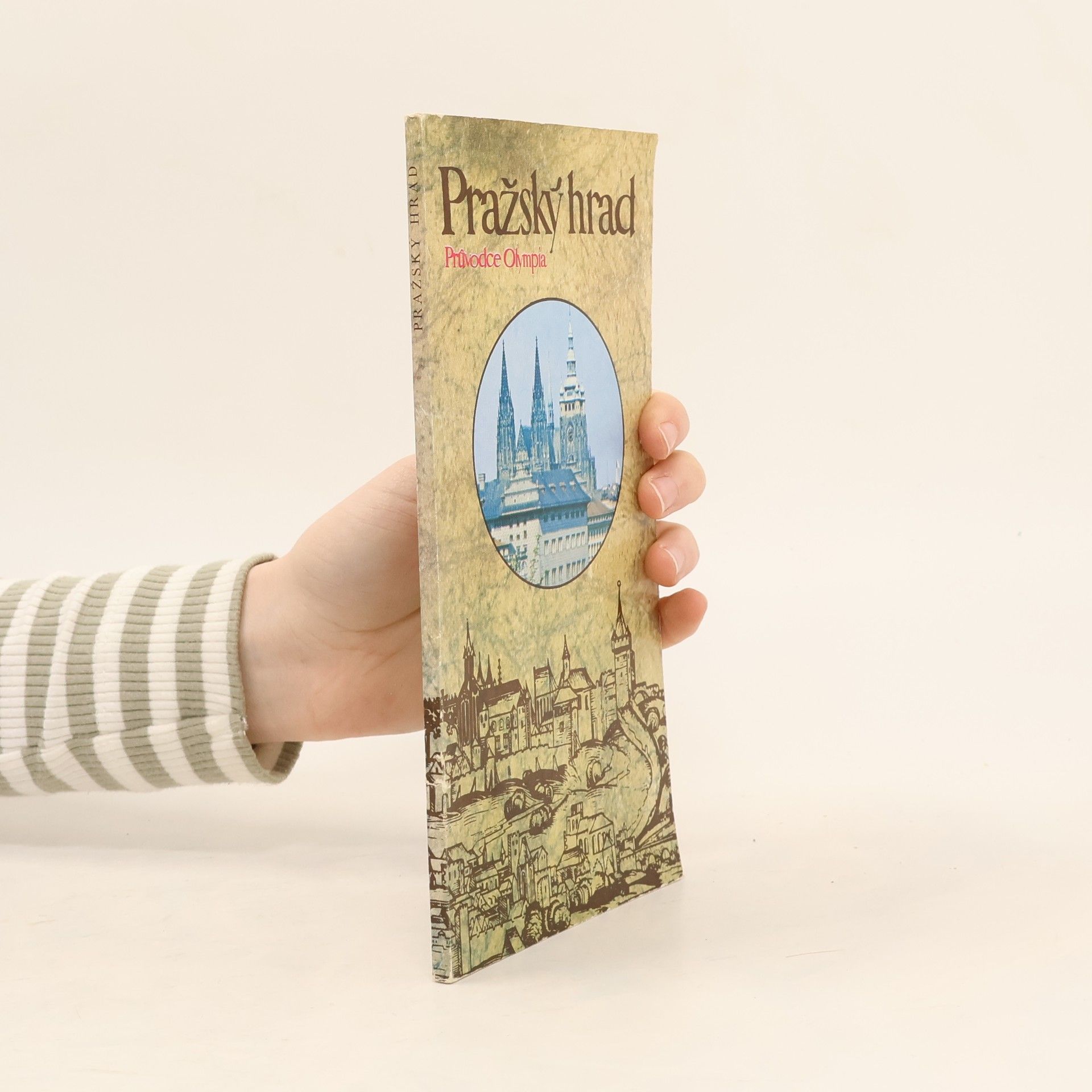 Kolektív autorov Pražský hrad