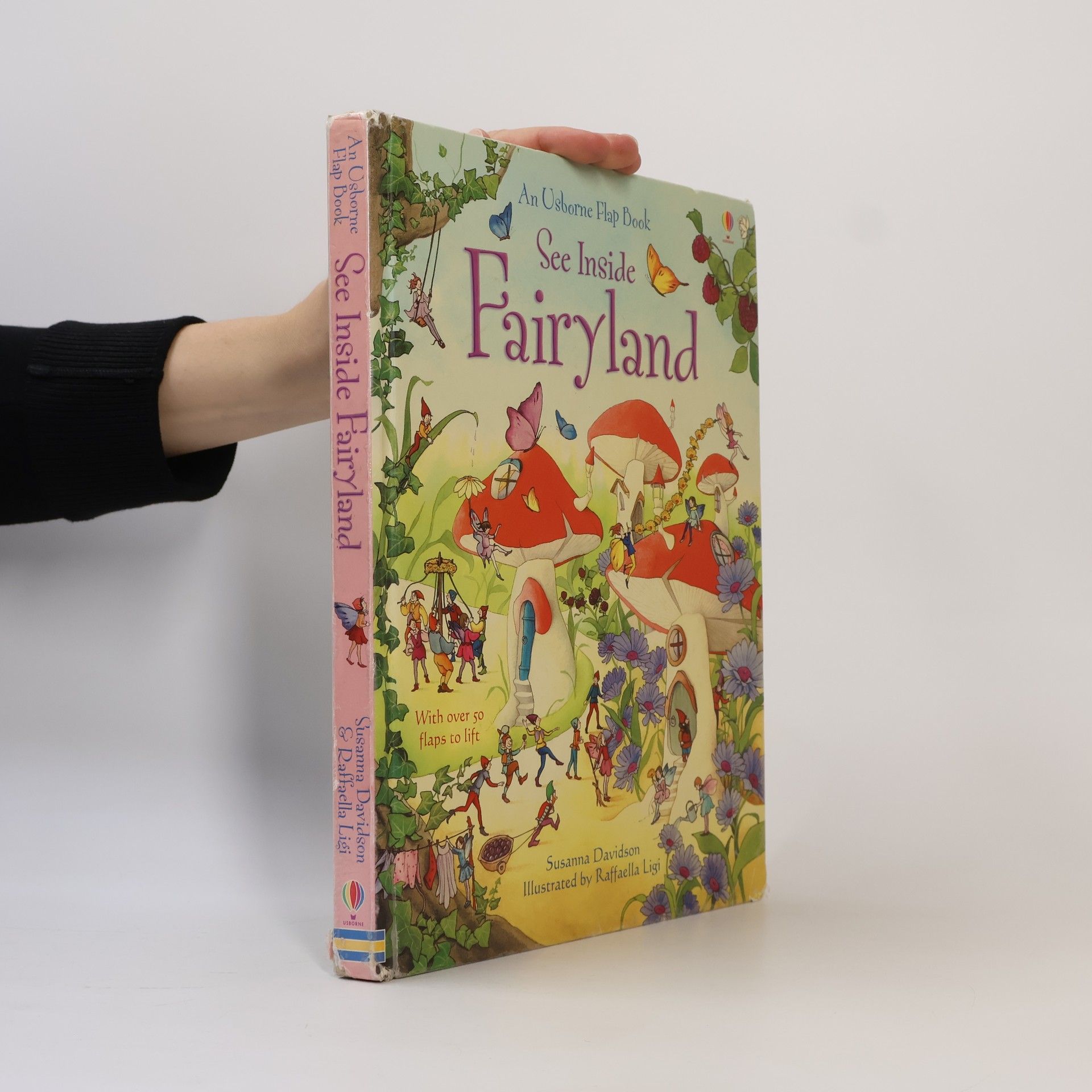 Zanna Davidson See inside Fairyland