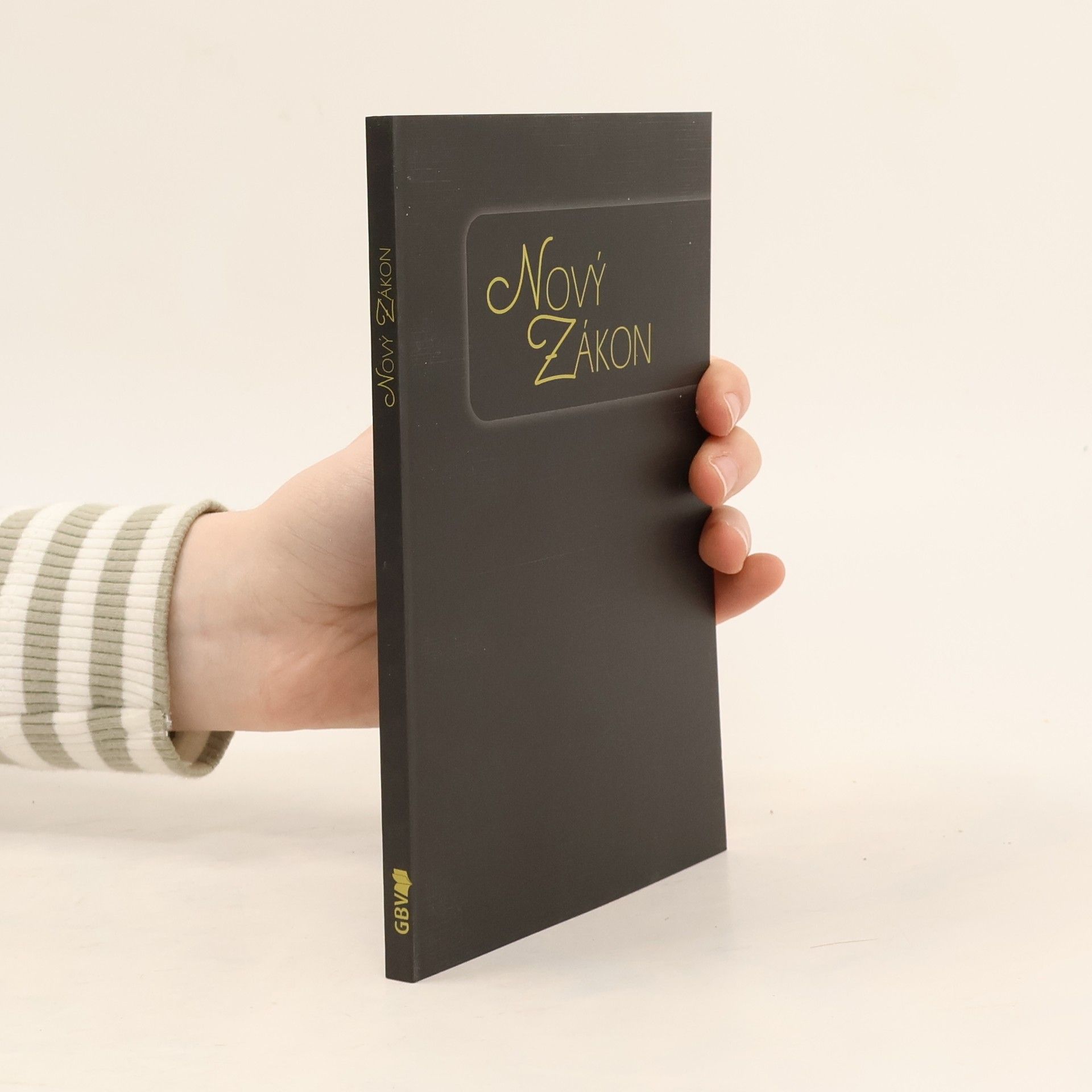 Collectif d'auteurs Nový zákon. Český studijní překlad Bible