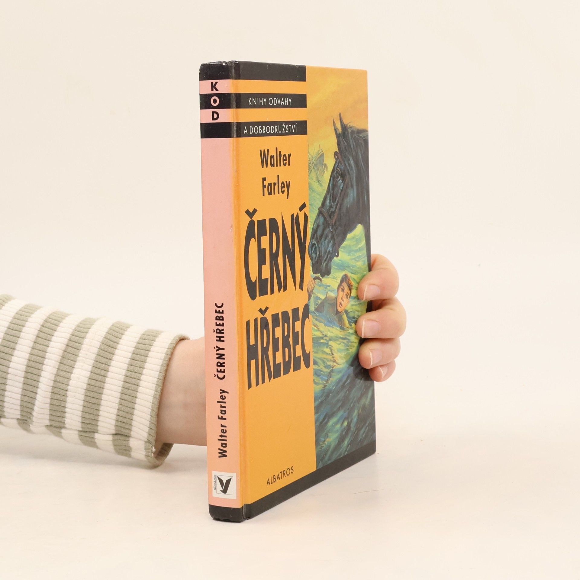 Walter Farley Černý hřebec