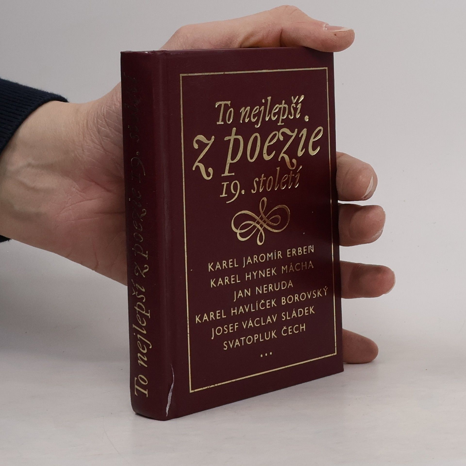 Autorenkollektiv To nejlepší z poezie 19. století