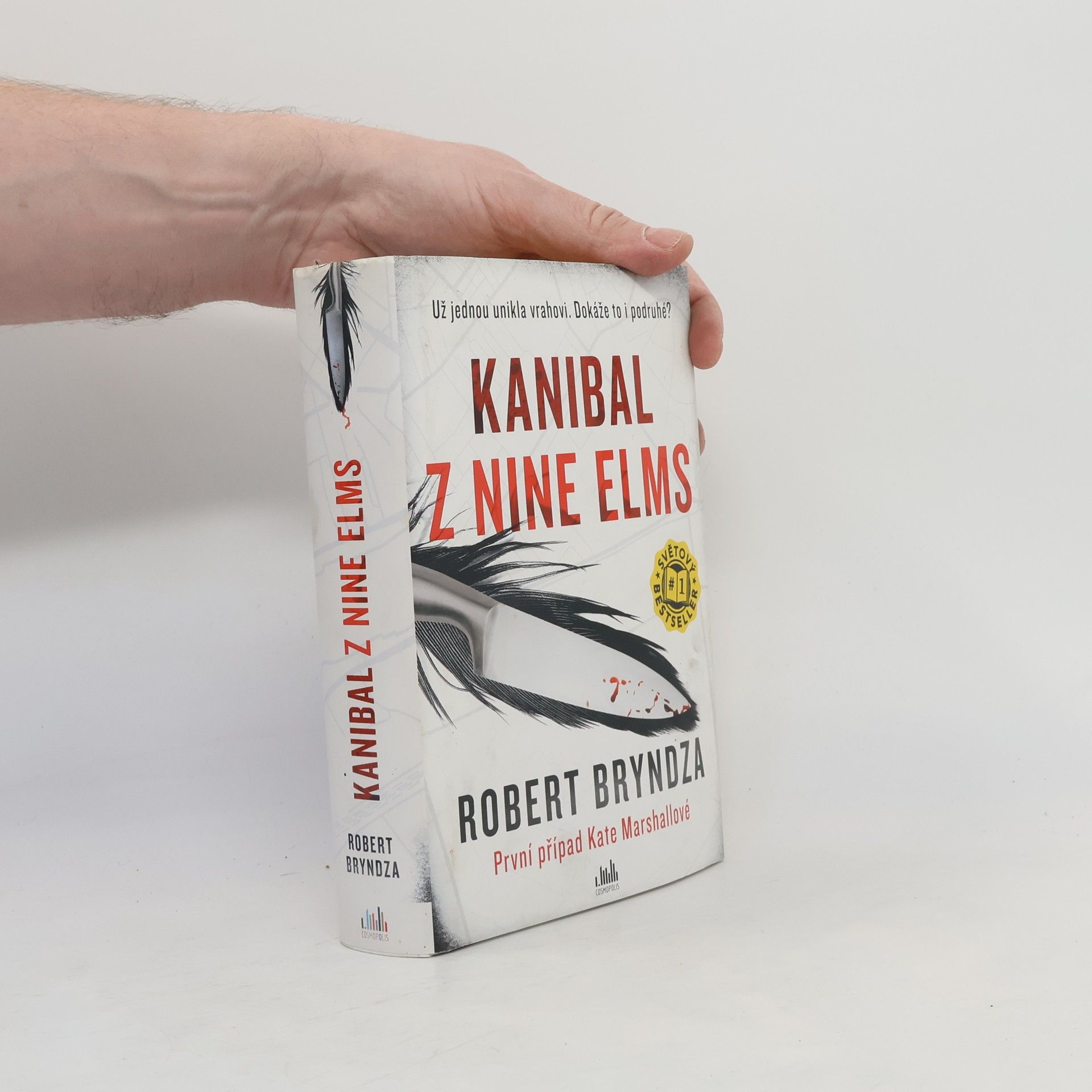 Robert Bryndza Kanibal z Nine Elms