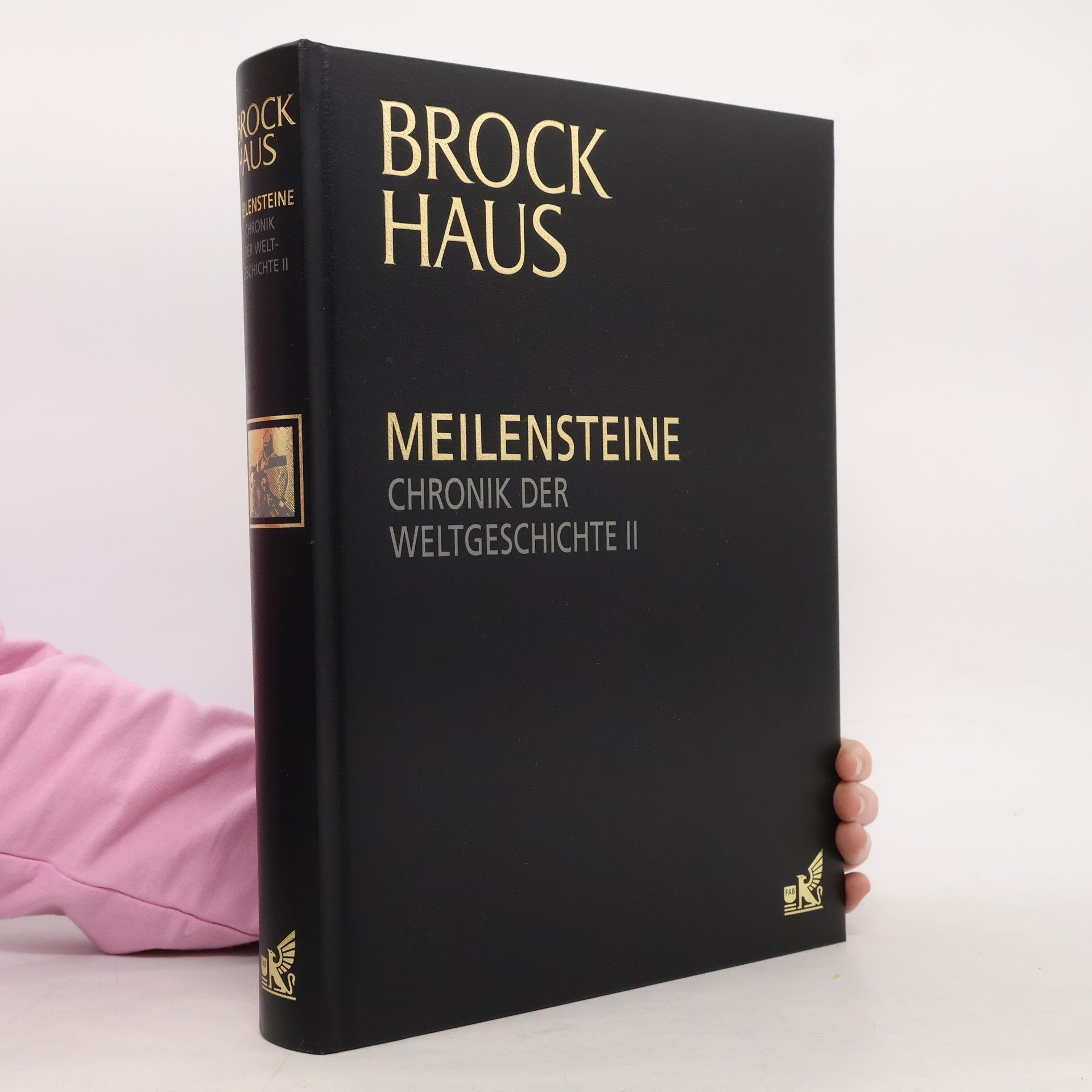 Auteurscollectief Meilensteine. Chronik der Weltgeschichte II