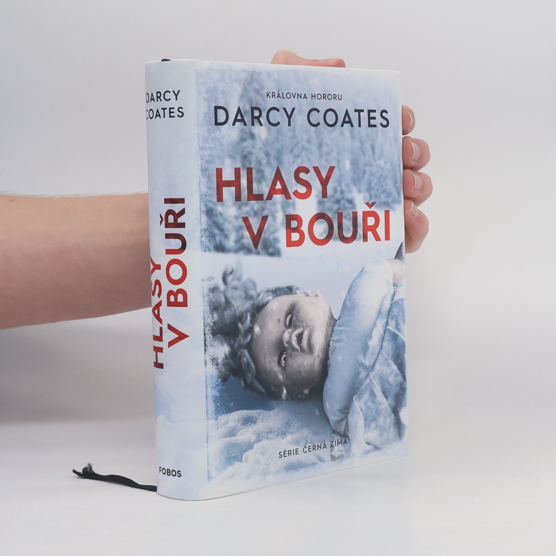 Darcy Coates Hlasy v bouři