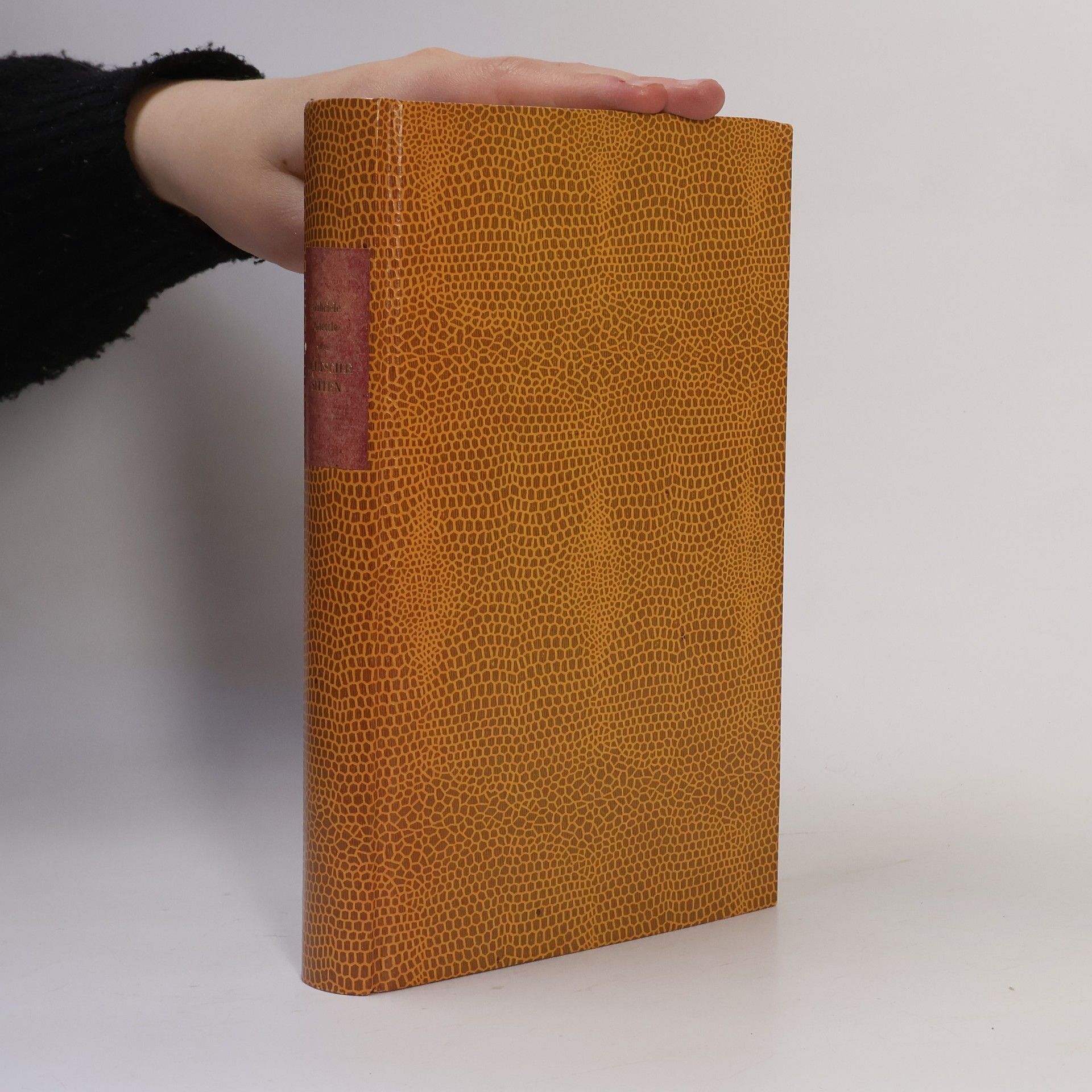 Autorenkollektiv Deutsche Sitten : Erkundungen in Ost und West