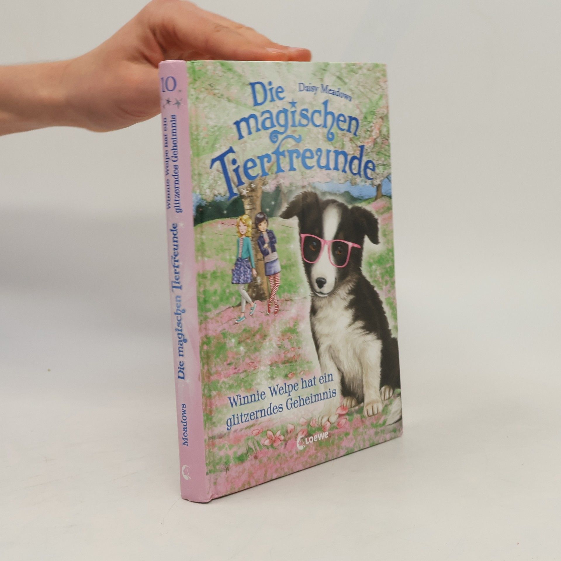 Daisy Meadows Winnie Welpe hat ein glitzerndes Geheimnis