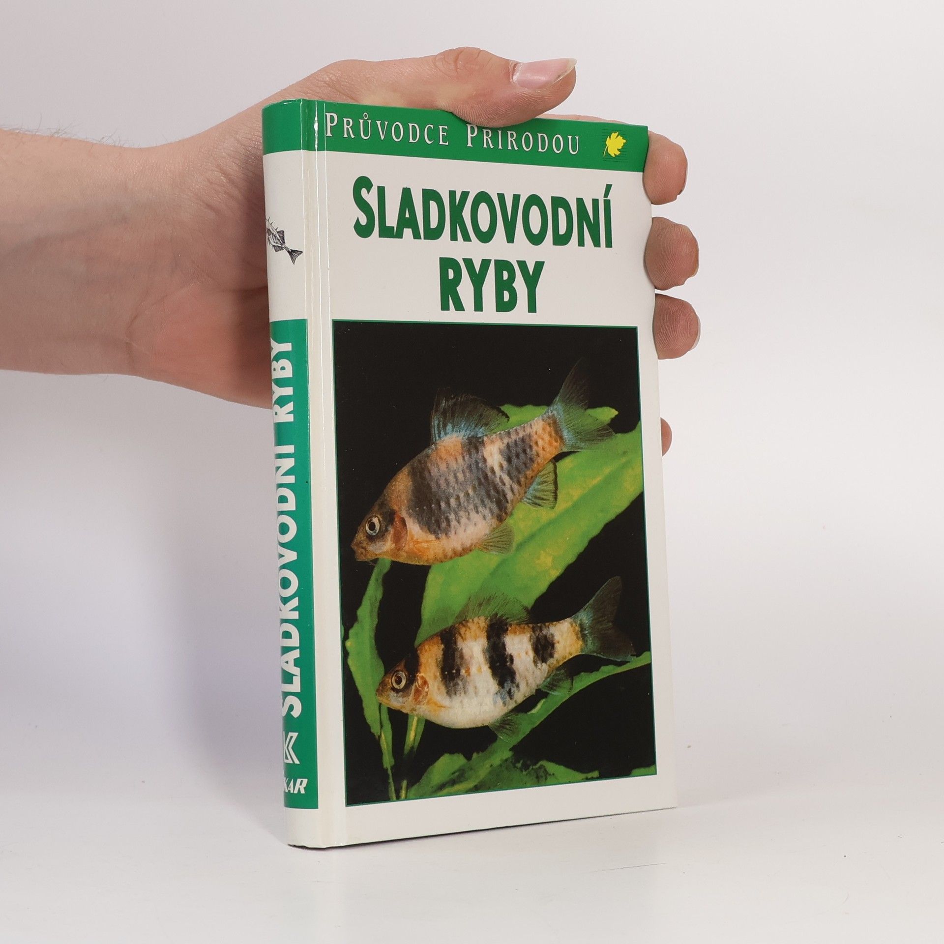 Autorenkollektiv Sladkovodní ryby v evropských vodách