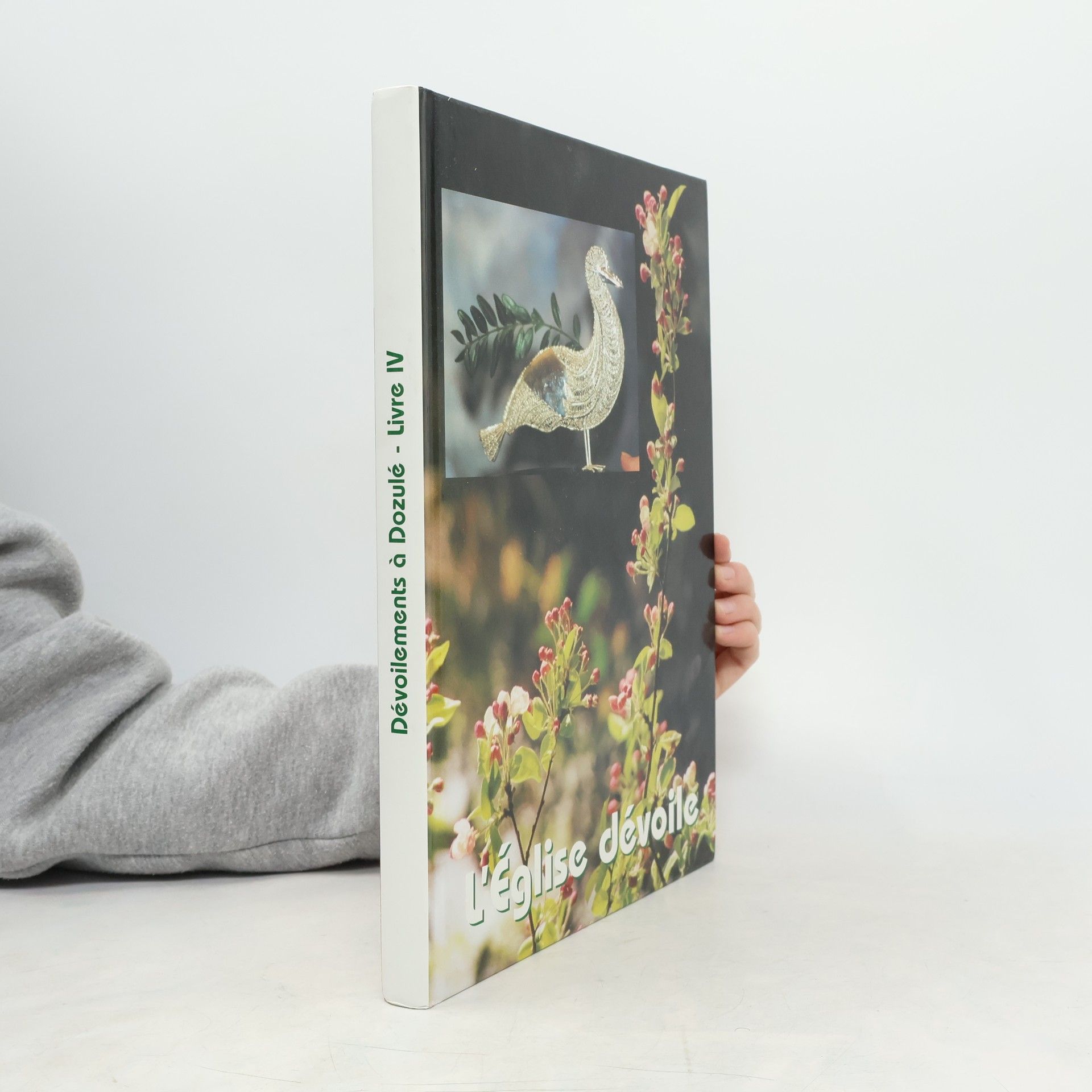 Collectif Dévoilements à Dozulé