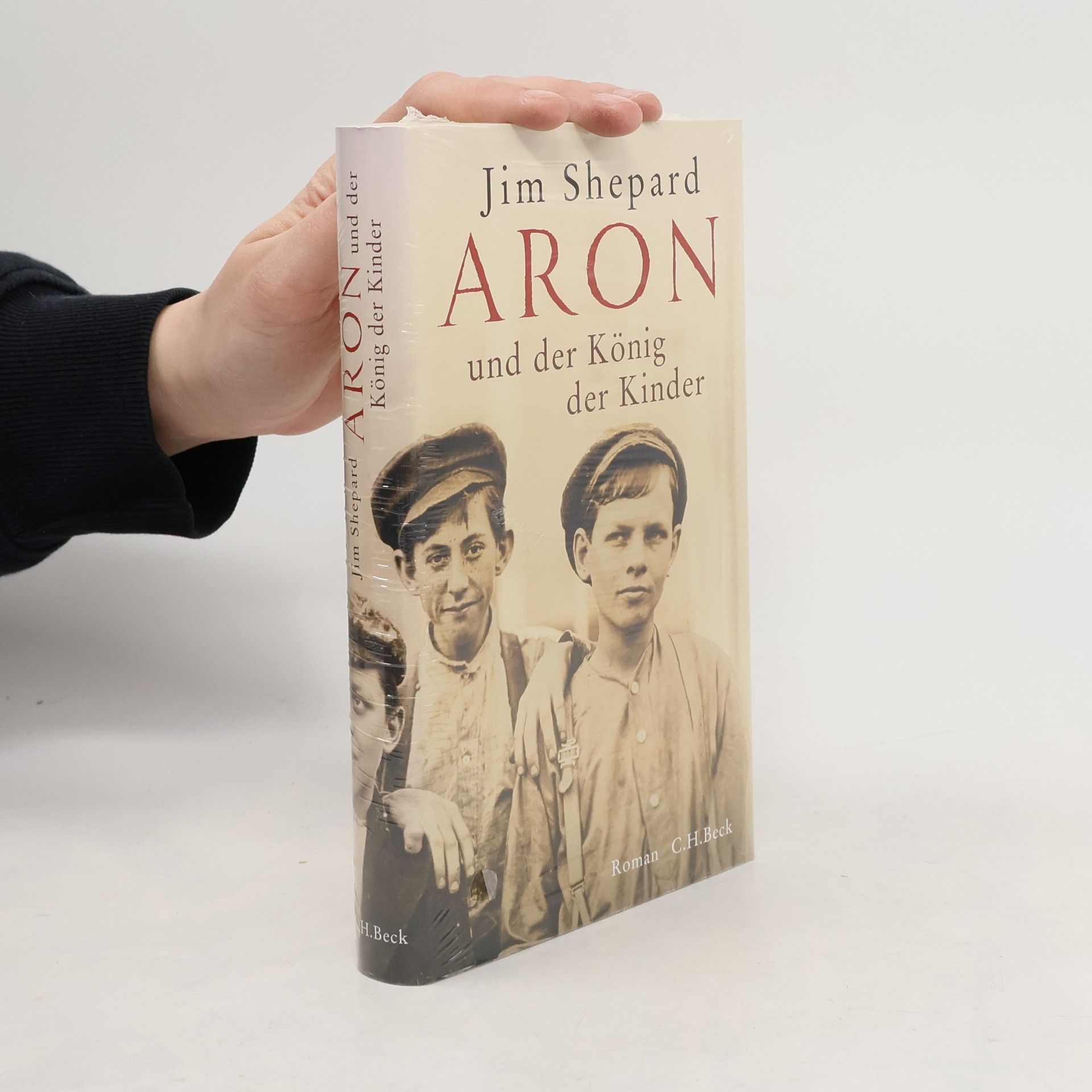 Jim Shepard Aron und der König der Kinder