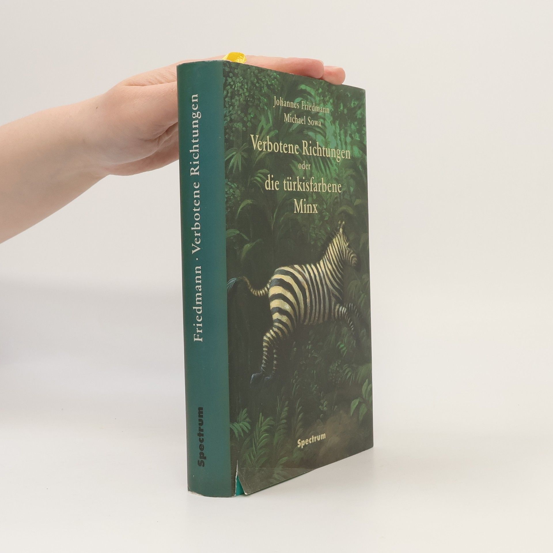 Johannes Friedmann Verbotene Richtungen oder Die türkisfarbene Minx