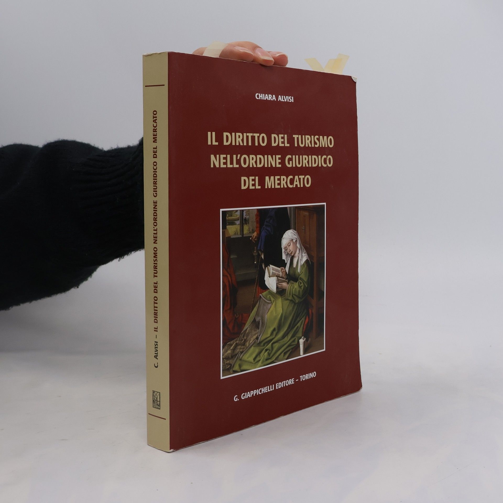 Chiara Alvisi Il diritto del turismo nell'ordine giuridico del mercato