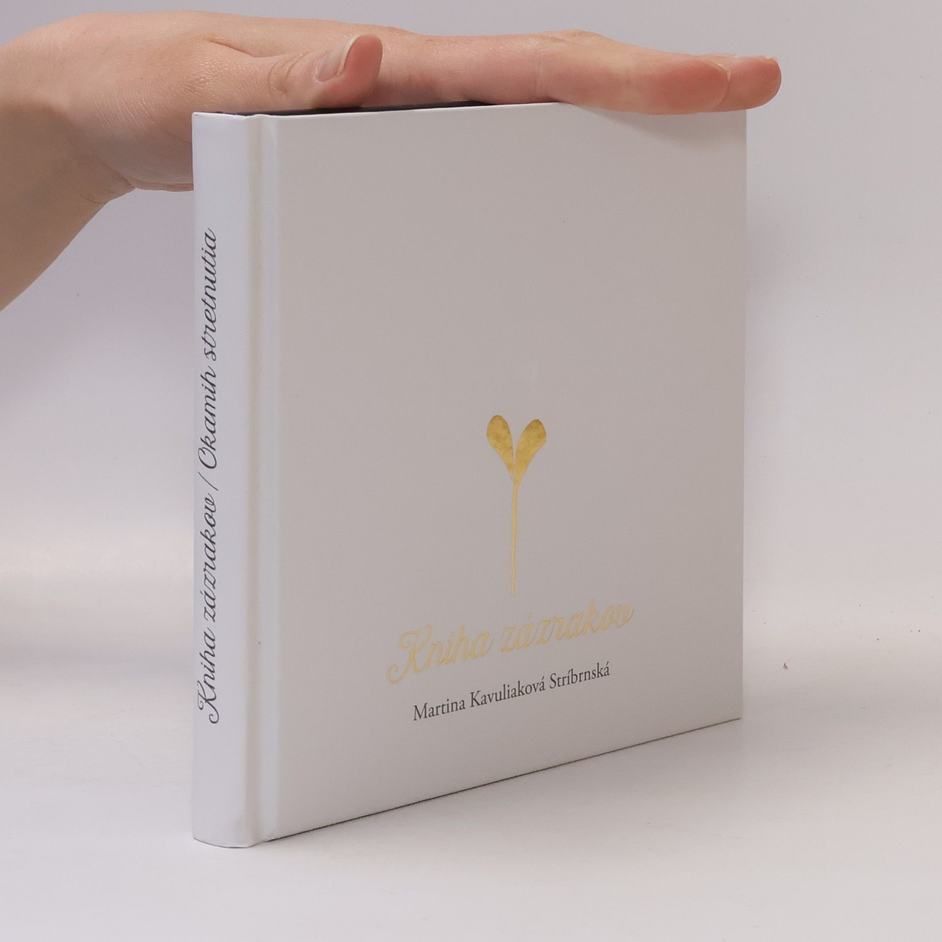 Martina Kavuliaková Stríbrnská Kniha zázrakov / Okamih stretnutia