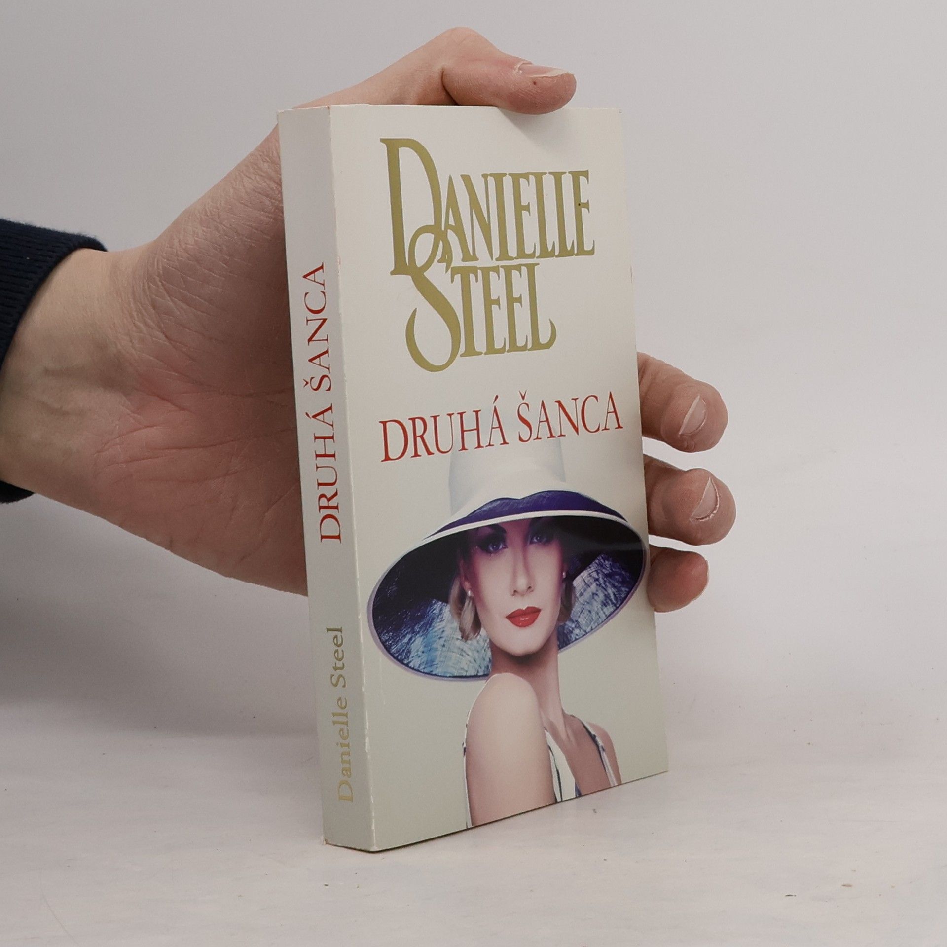 Danielle Steel Druhá šanca