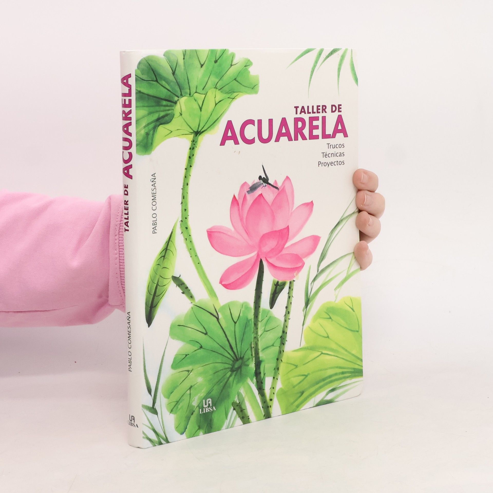 Pablo Comesaña Costas Taller de acuarela