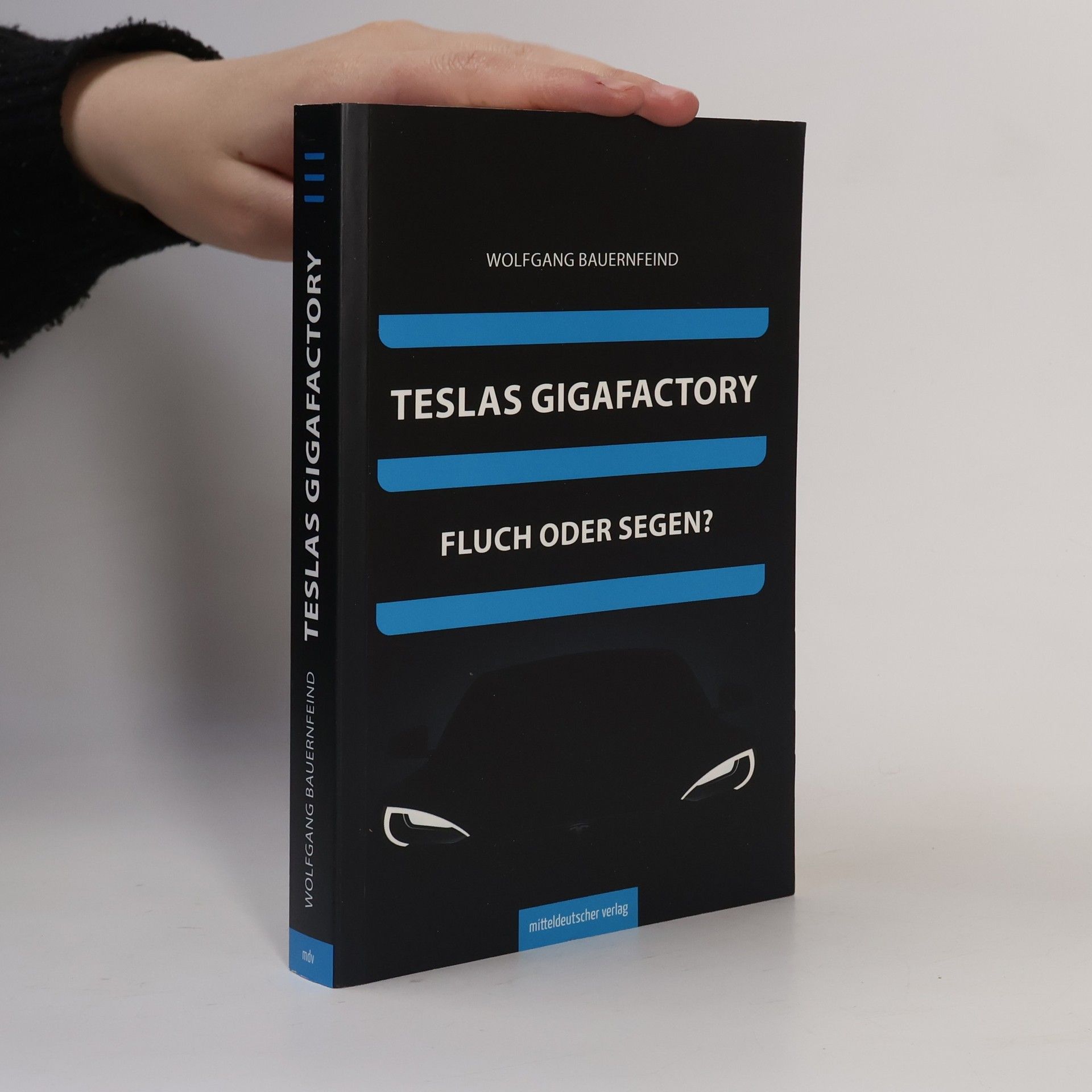 Wolfgang Bauernfeind Teslas Gigafactory