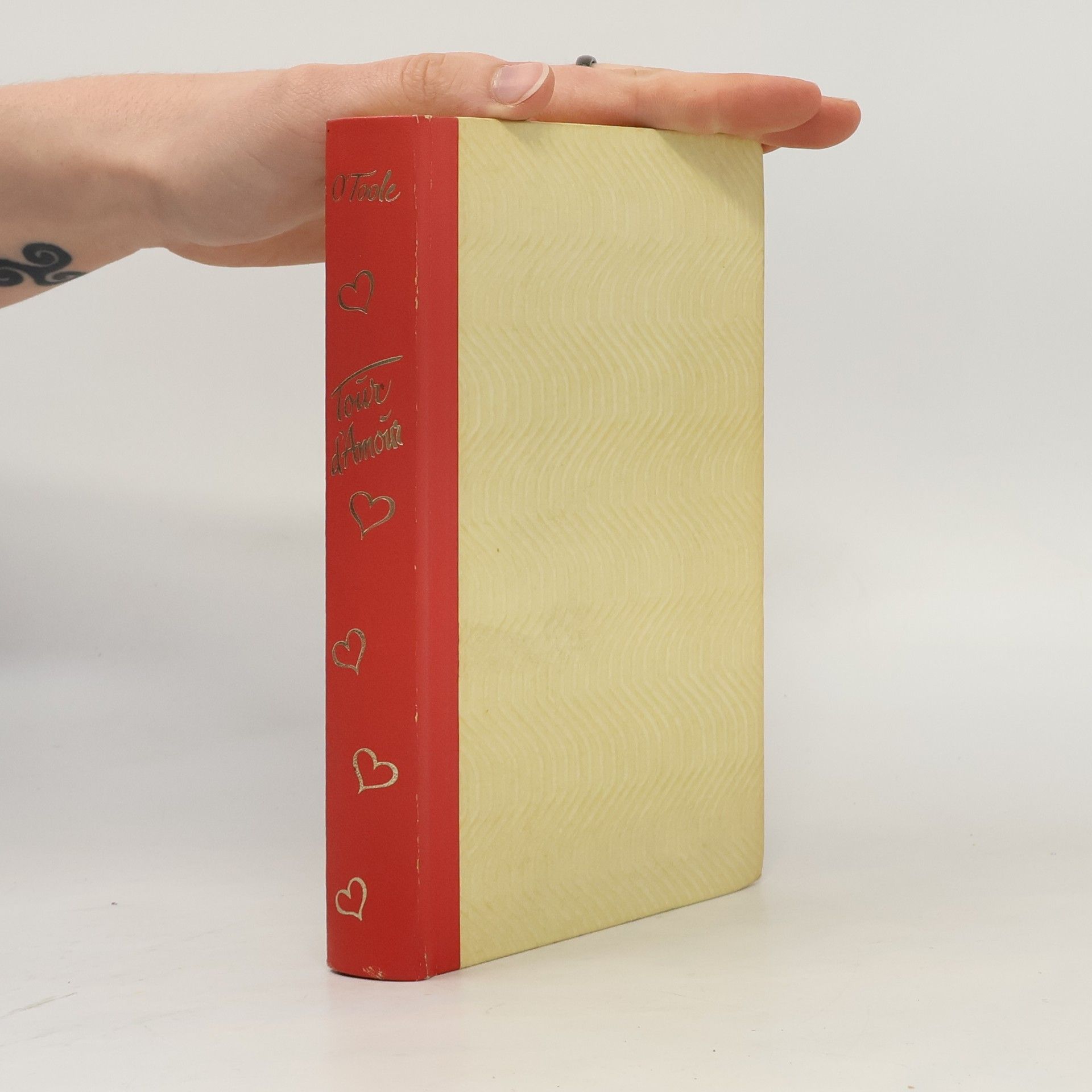 Roger Saint-Martin O'Toole Tour d'amour