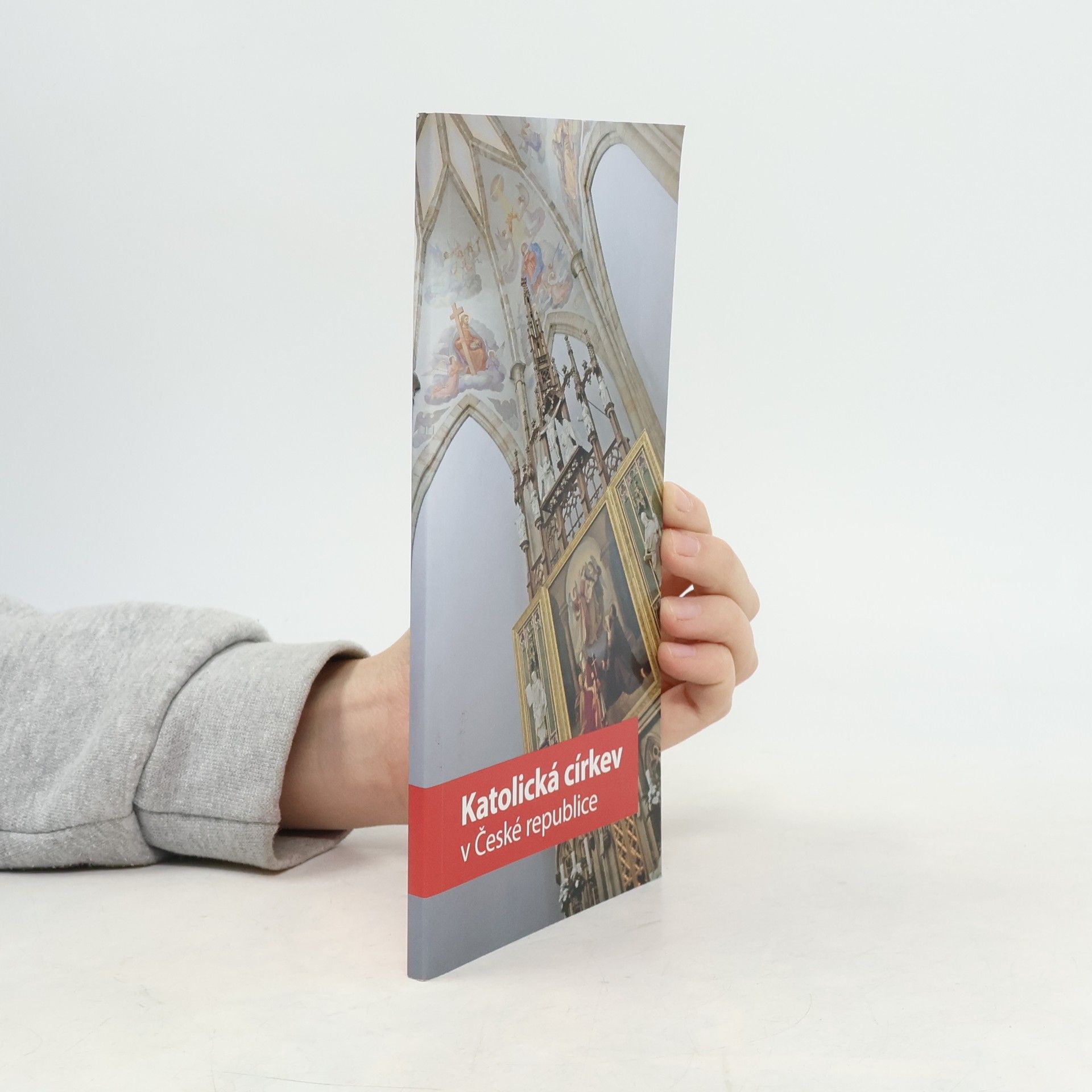 Collectif d'auteurs Katolická církev v České republice