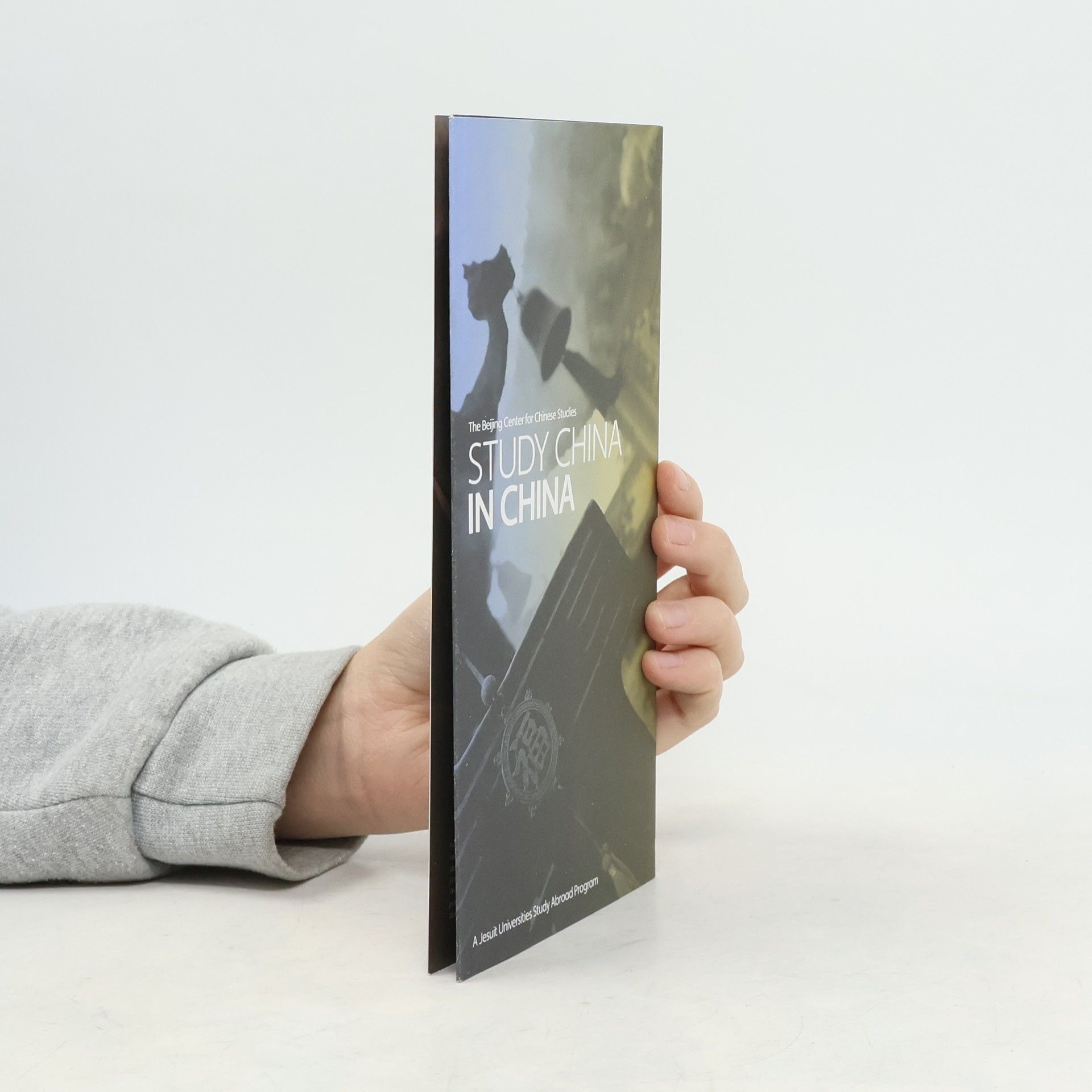 Autorenkollektiv Study China in China