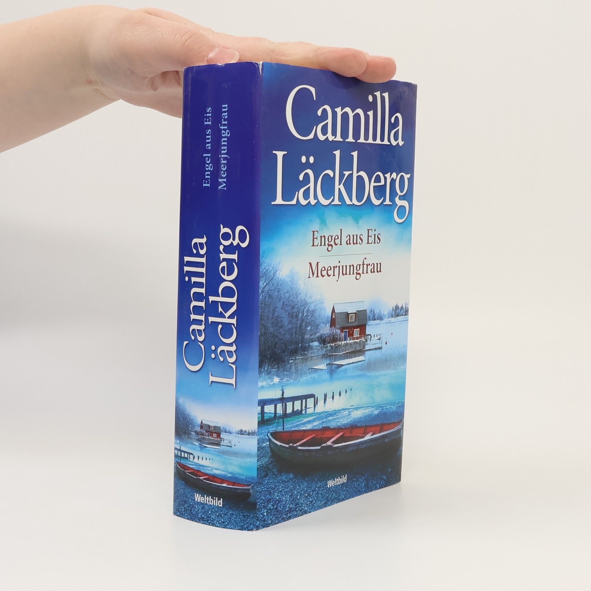 Camilla Läckberg Engel aus Eis