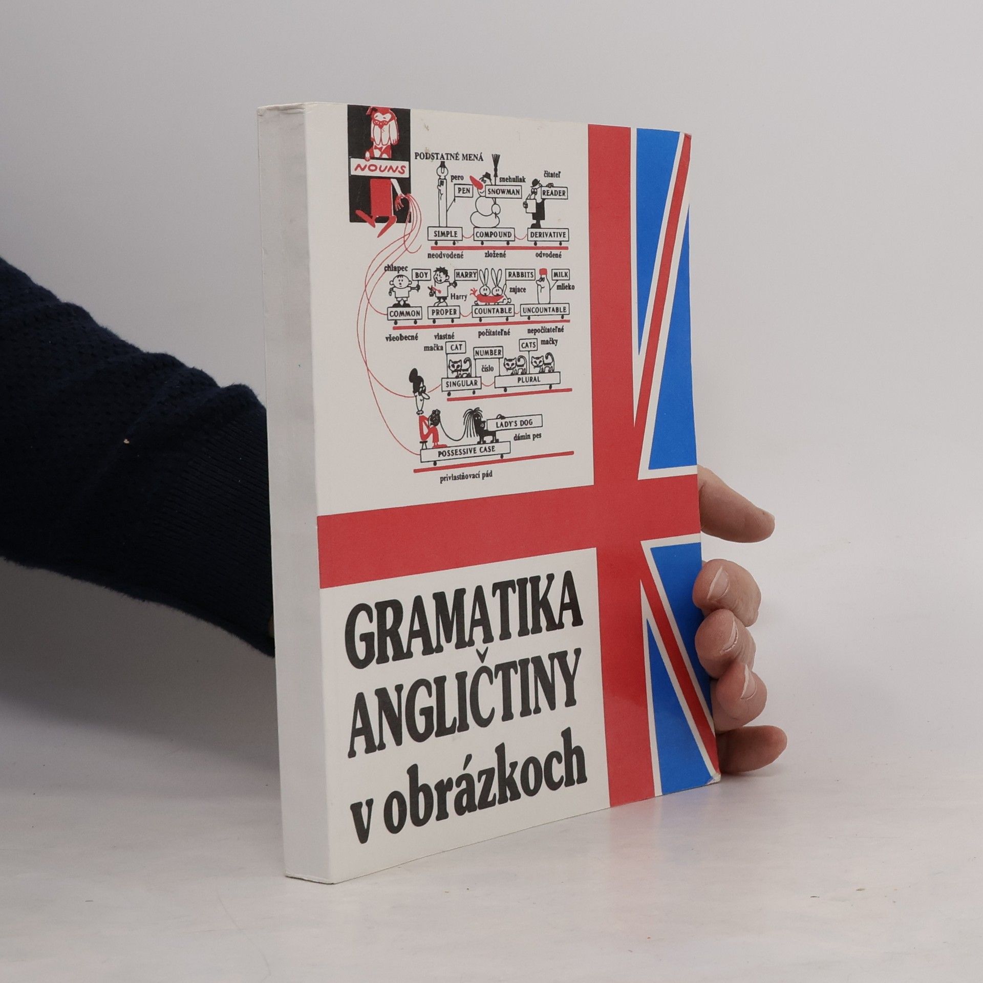 Mark Isaakovič Dubrovin Gramatika angličtiny v obrázkoch