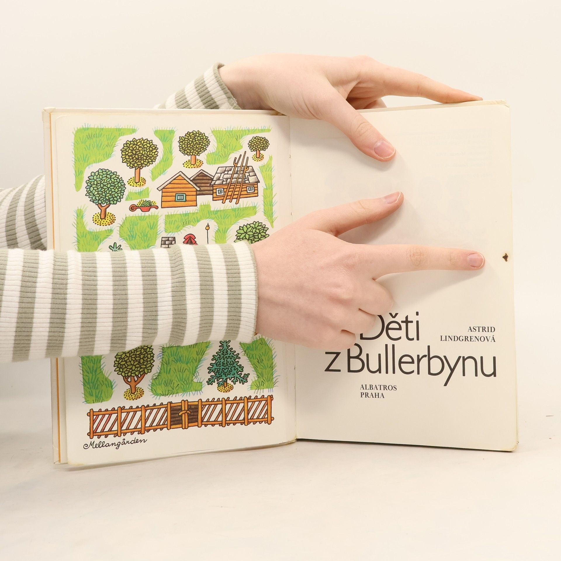 Astrid Lindgren Děti z Bullerbynu