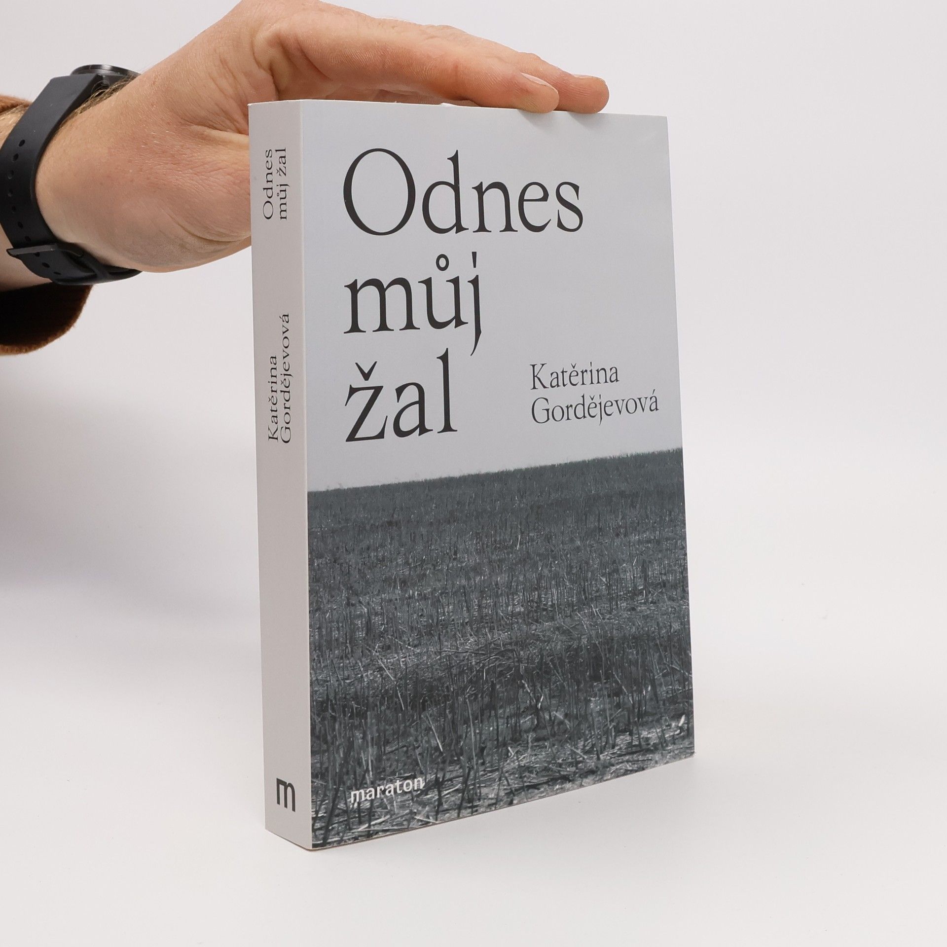 Katerina Vladimirovna Gordejeva Odnes můj žal