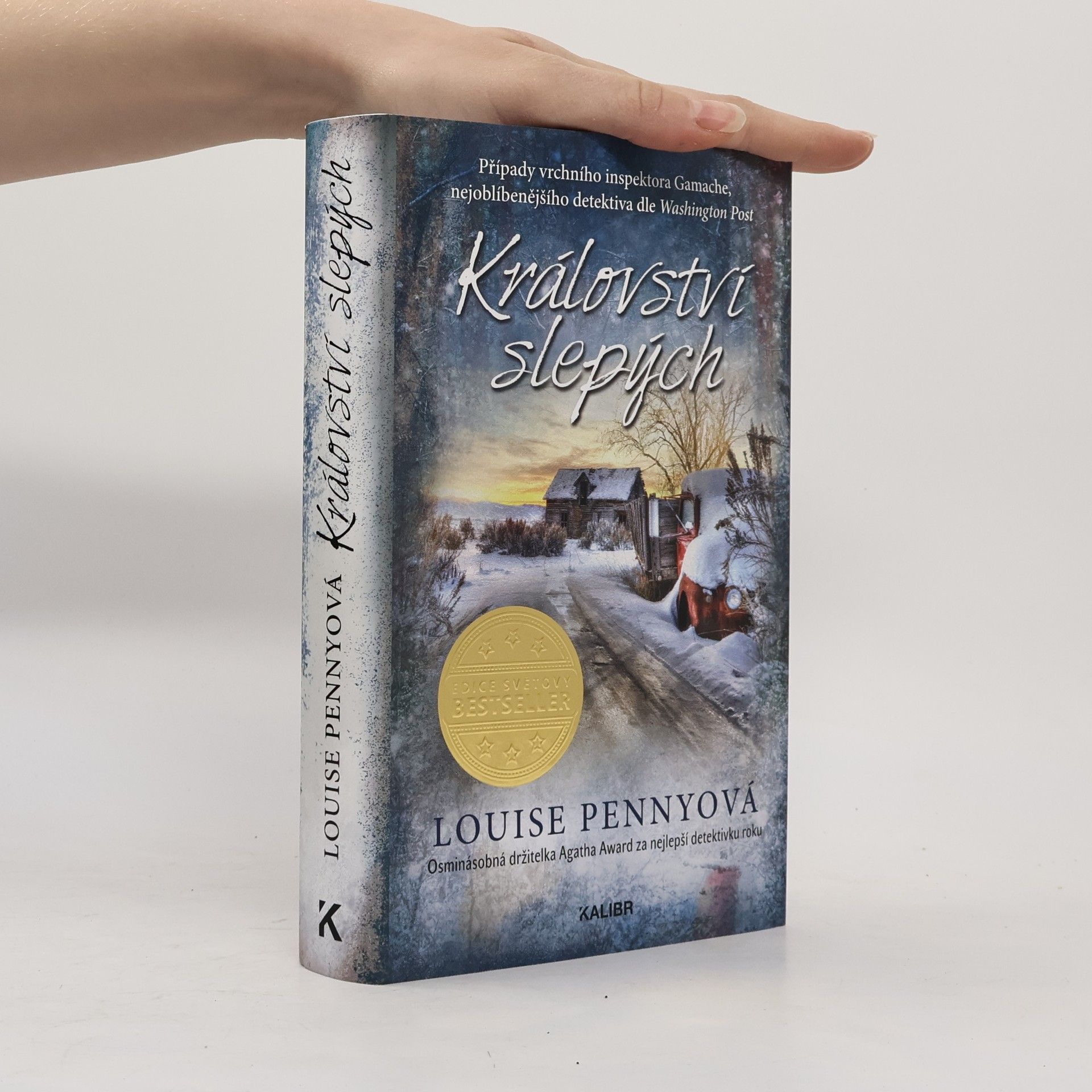 Louise Penny Království slepých