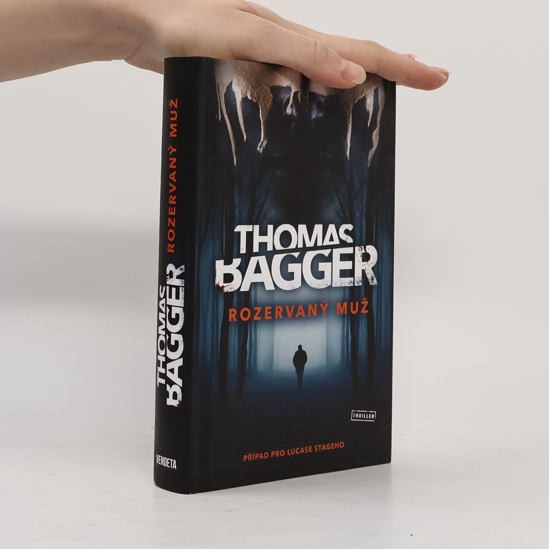 Thomas Bagger Rozervaný muž