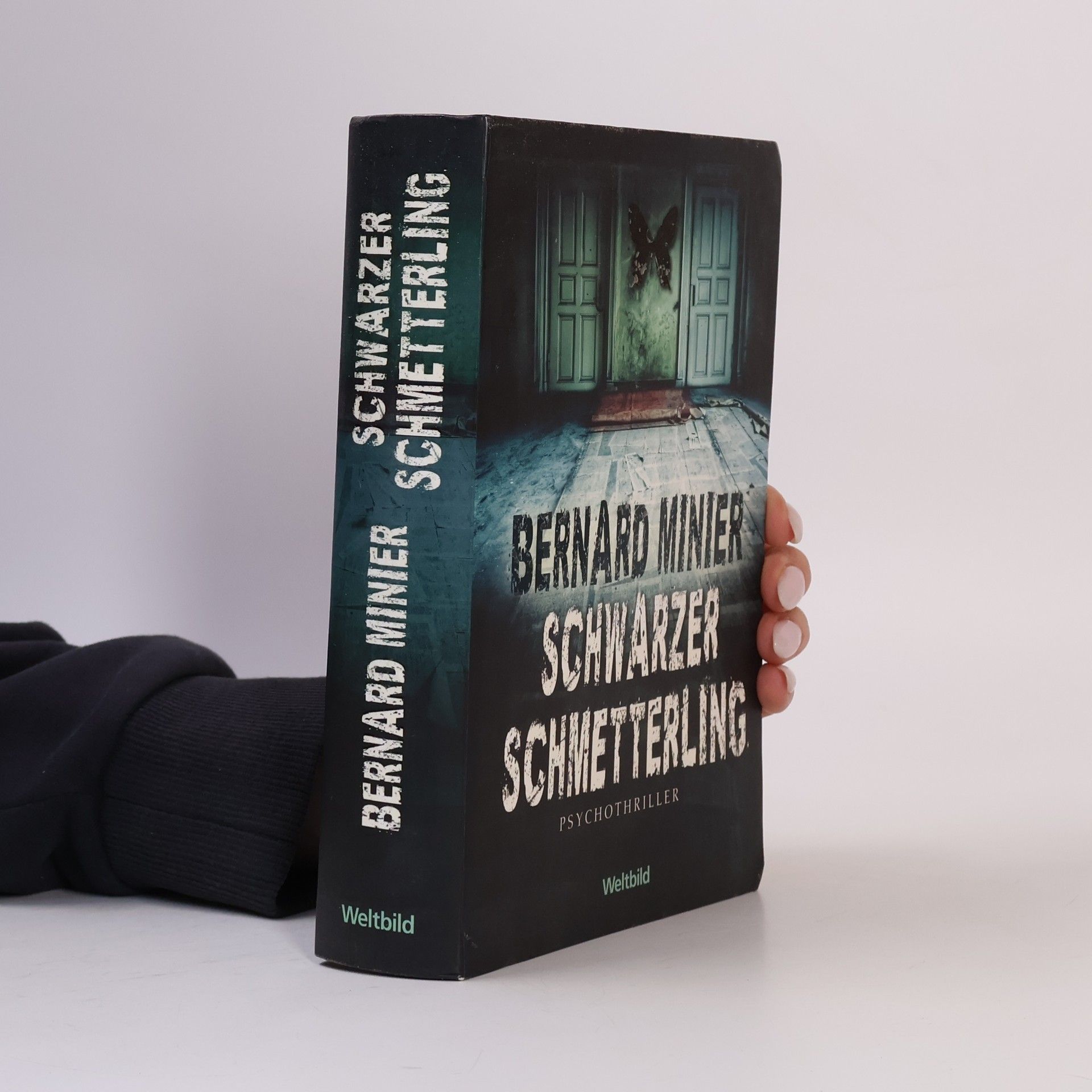 Bernard Minier Schwarzer Schmetterling