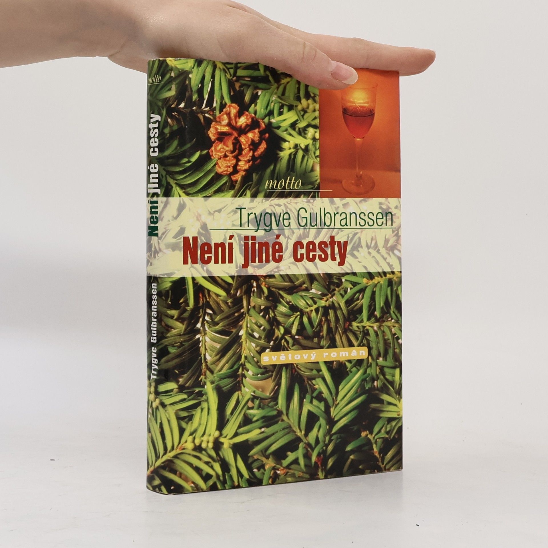 Trygve Gulbranssen Není jiné cesty. Věčně zpívají lesy 3