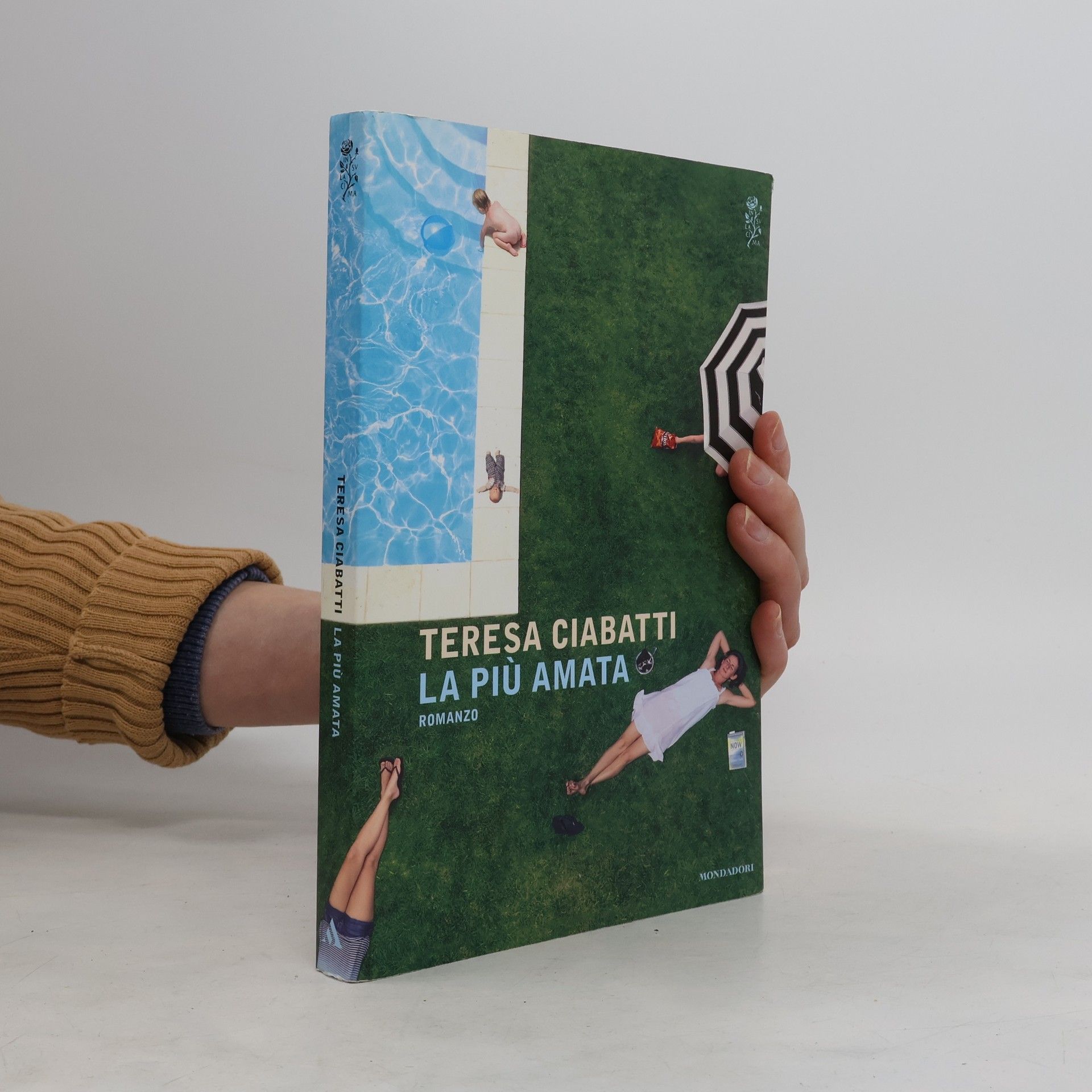 Teresa Ciabatti La più amata