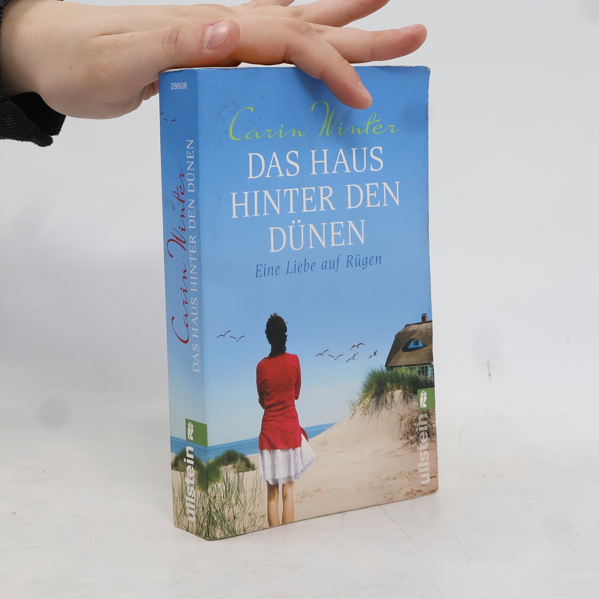 Das Haus hinter den Dünen