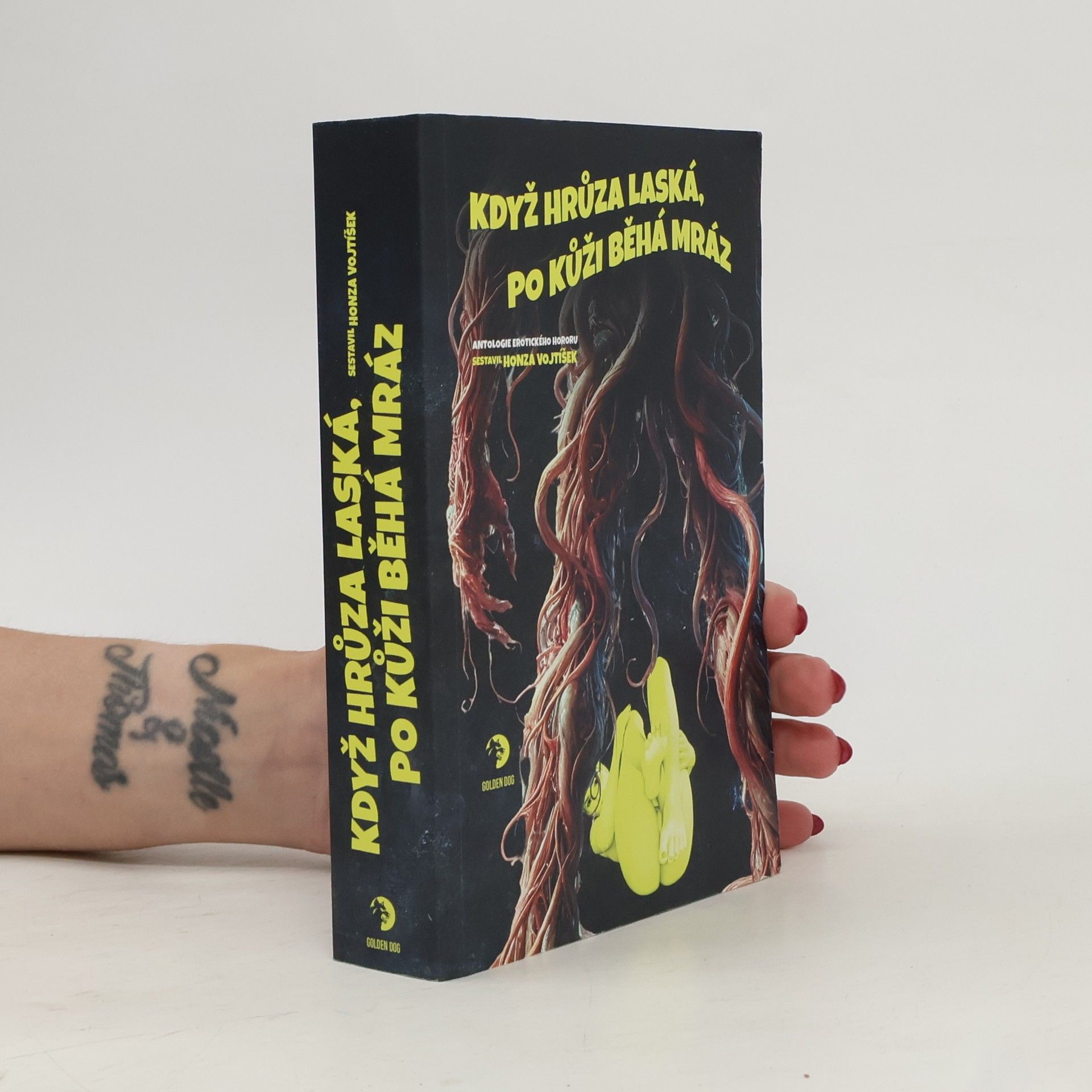 Honza Vojtíšek Když hrůza laská, po kůži běhá mráz