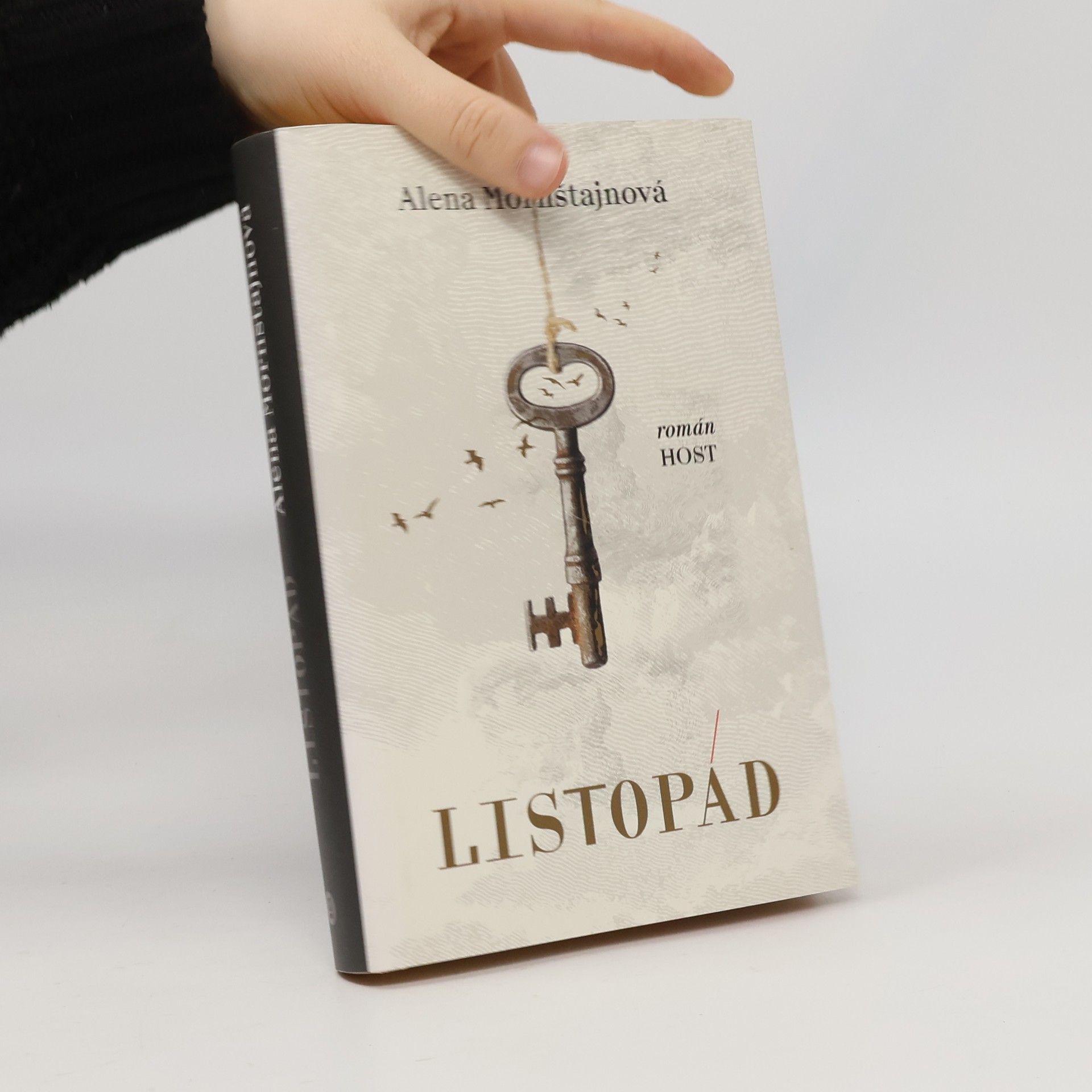 Alena Mornštajnová Listopád