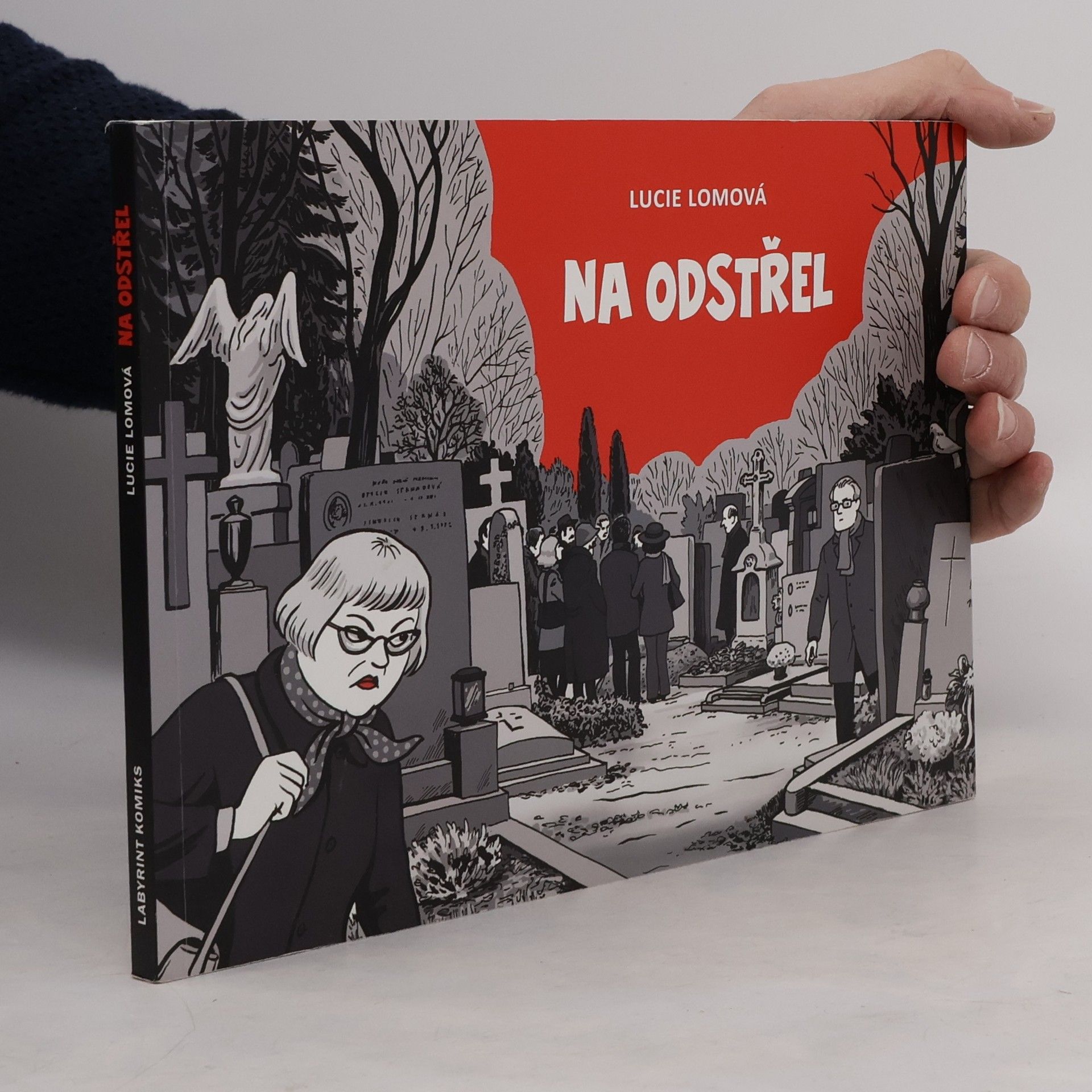 Lucie Lomová Na odstřel: Komiksová detektivka