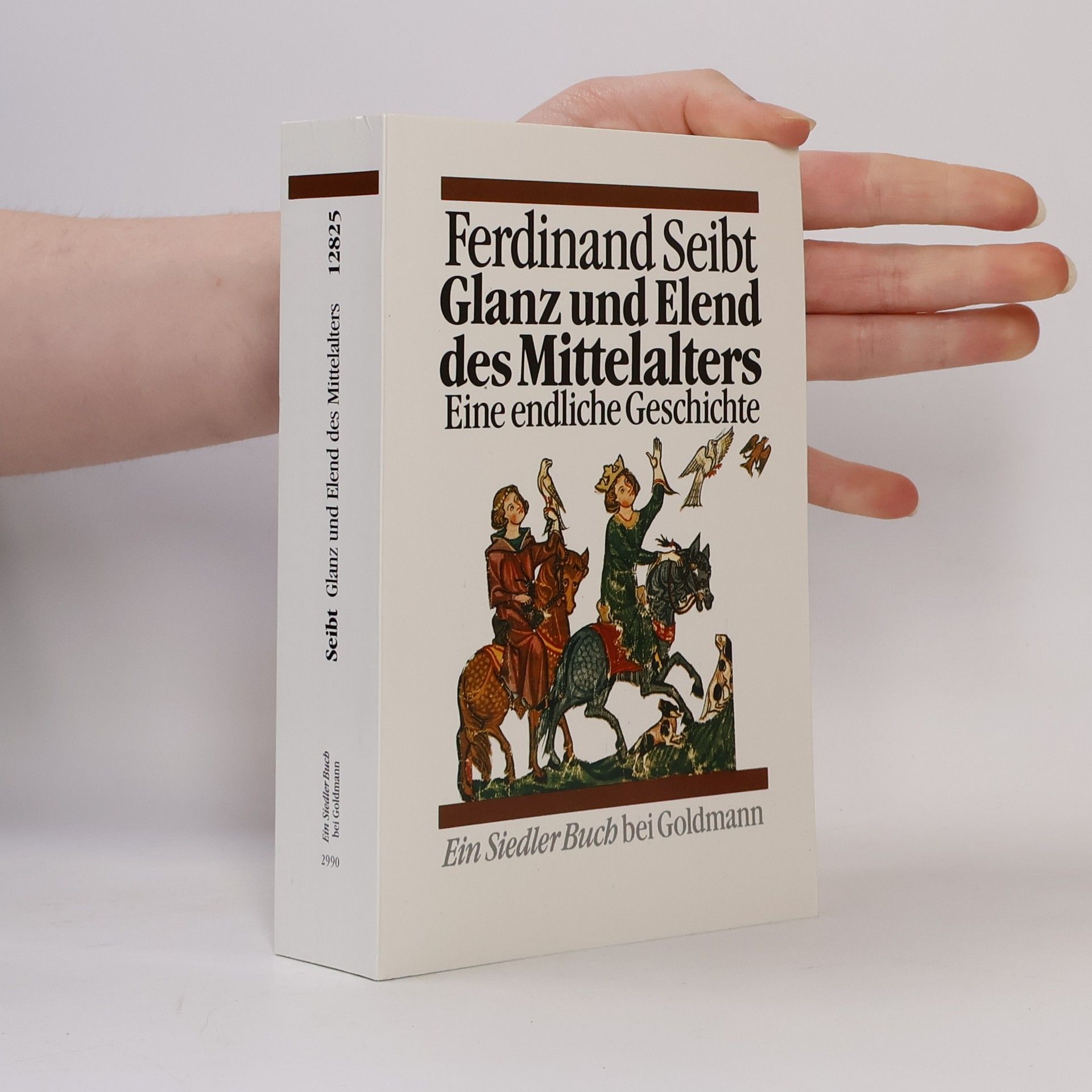 Glanz und Elend des Mittelalters : eine endliche Geschichte