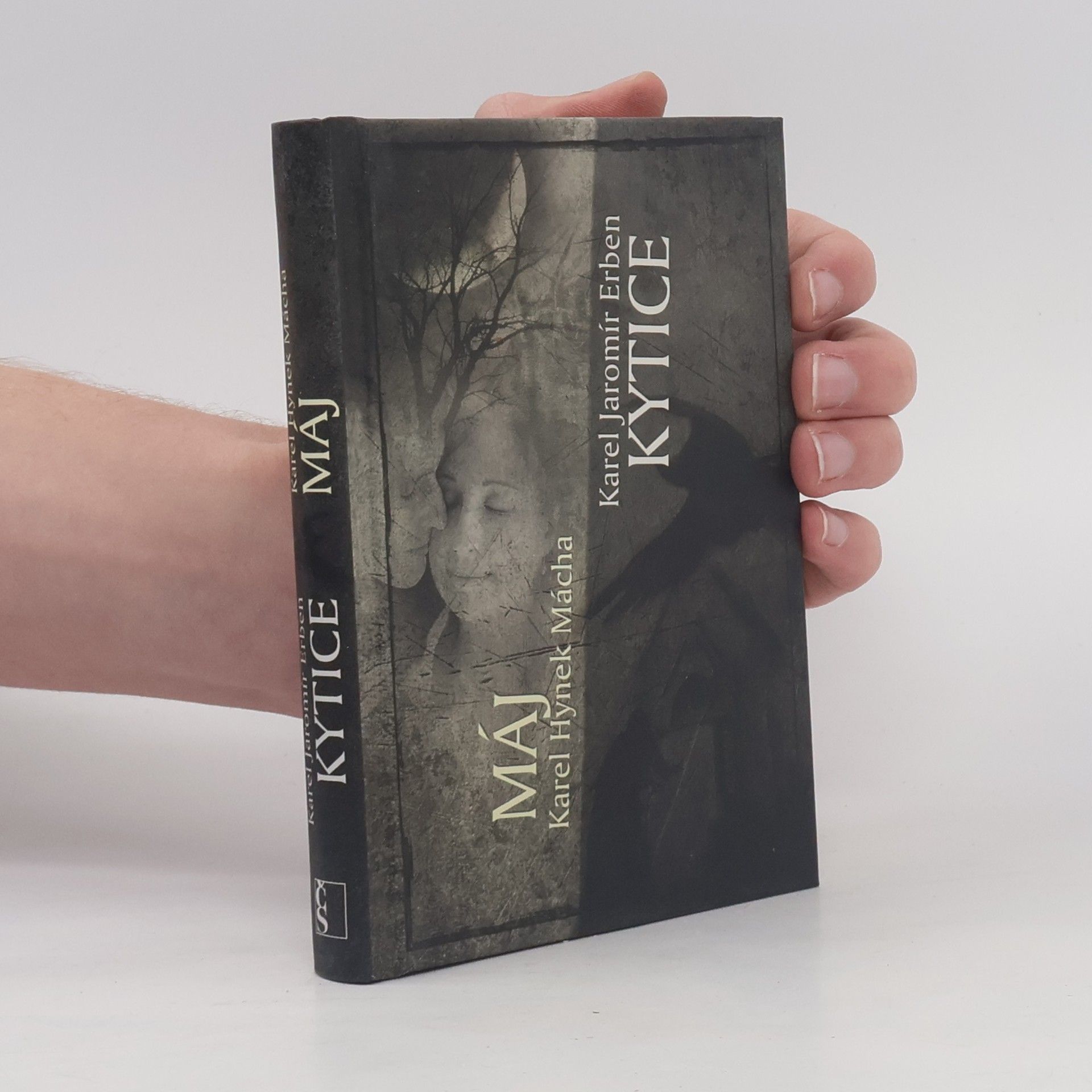 Karel Hynek Mácha Máj. Kytice