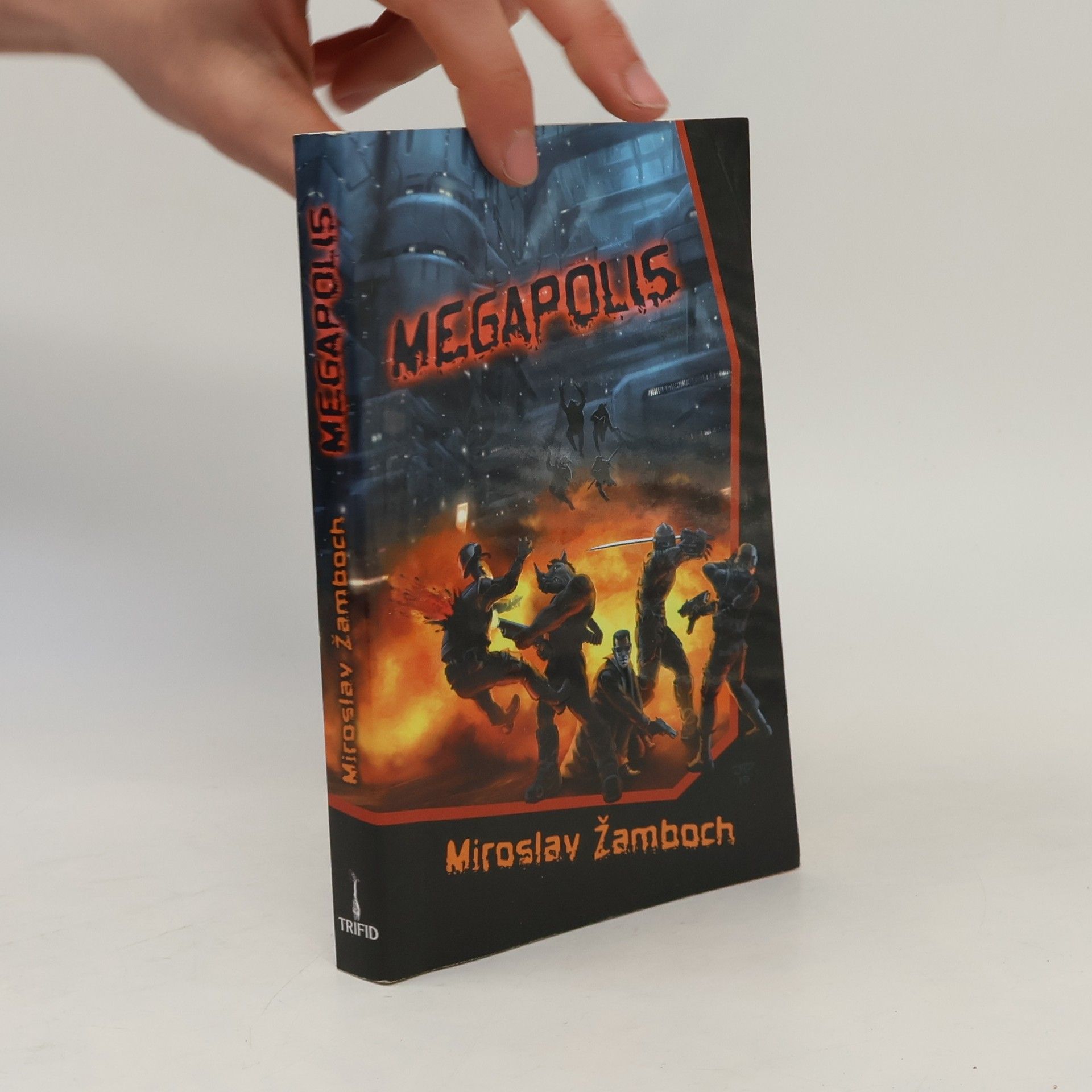 Miroslav Žamboch Megapolis