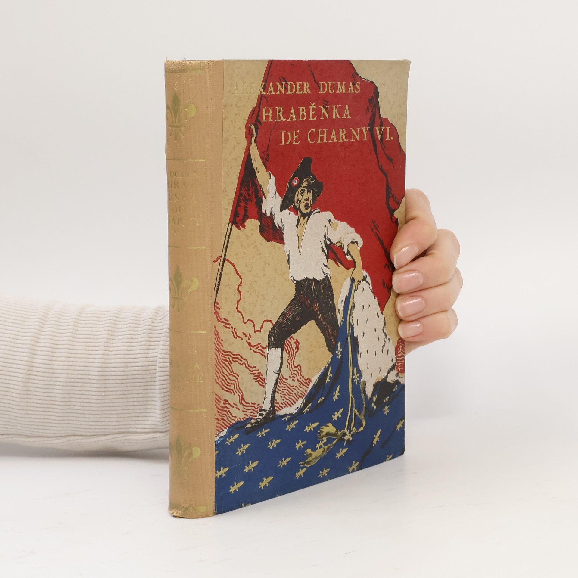 Alexandre Dumas Hraběnka de Charny VI.