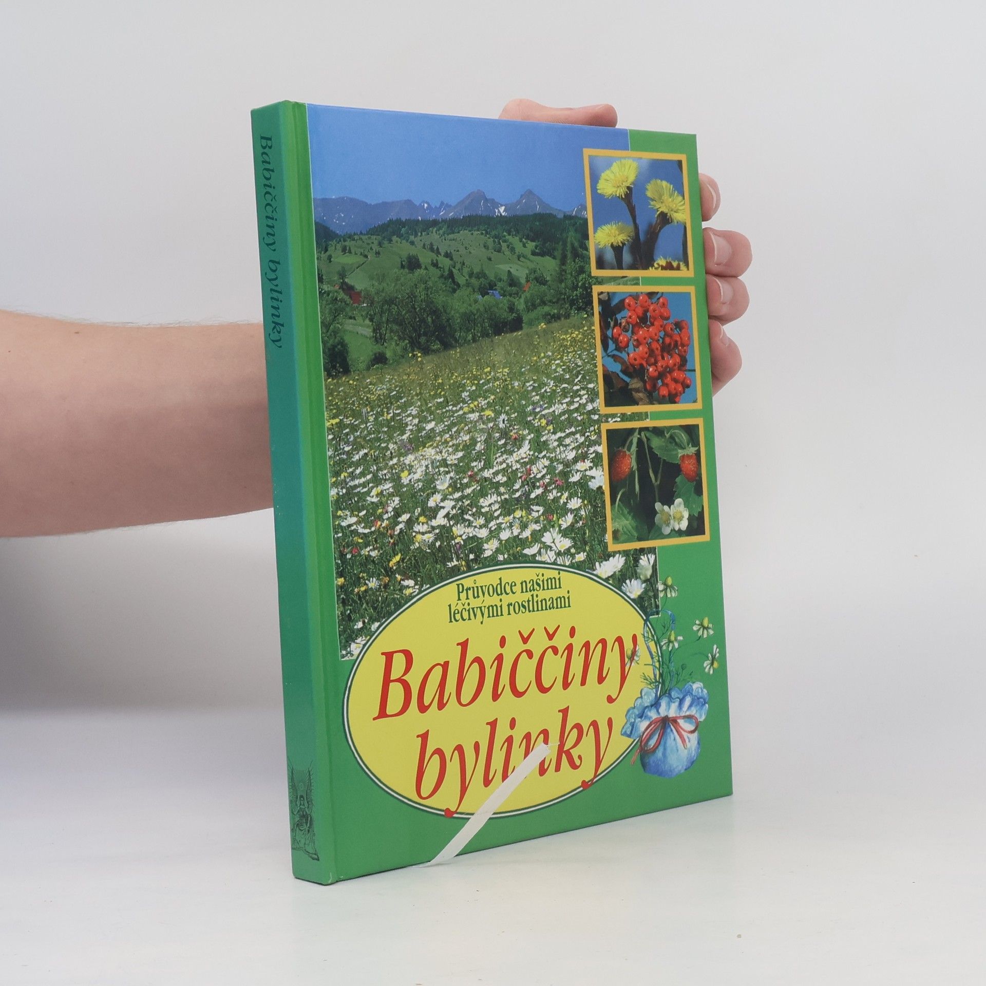 Aurélia Dugas Babiččiny bylinky : průvodce našimi léčivými rostlinami