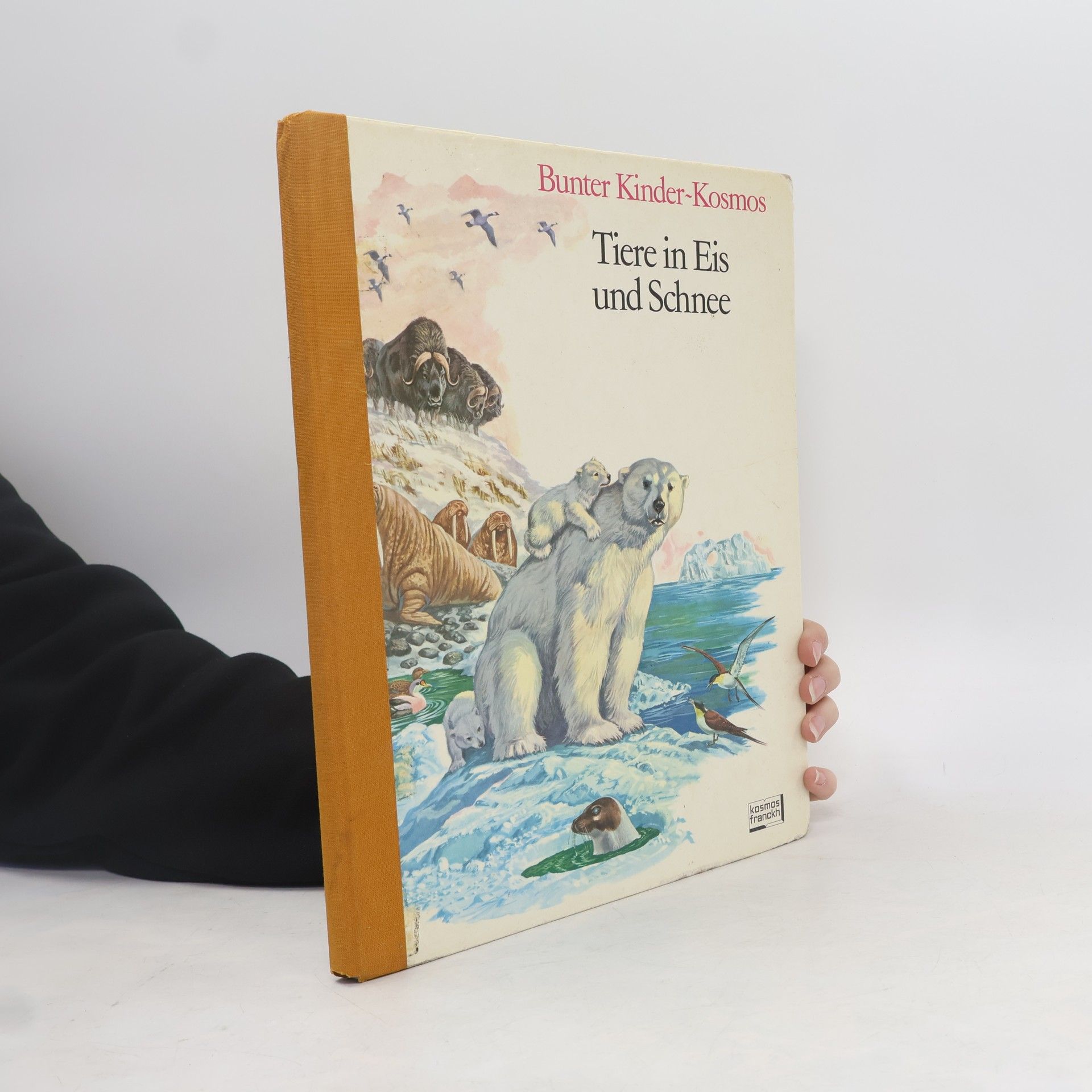 Autorenkollektiv Bunter Kinder-Kosmos. Tiere in Eis und Schnee