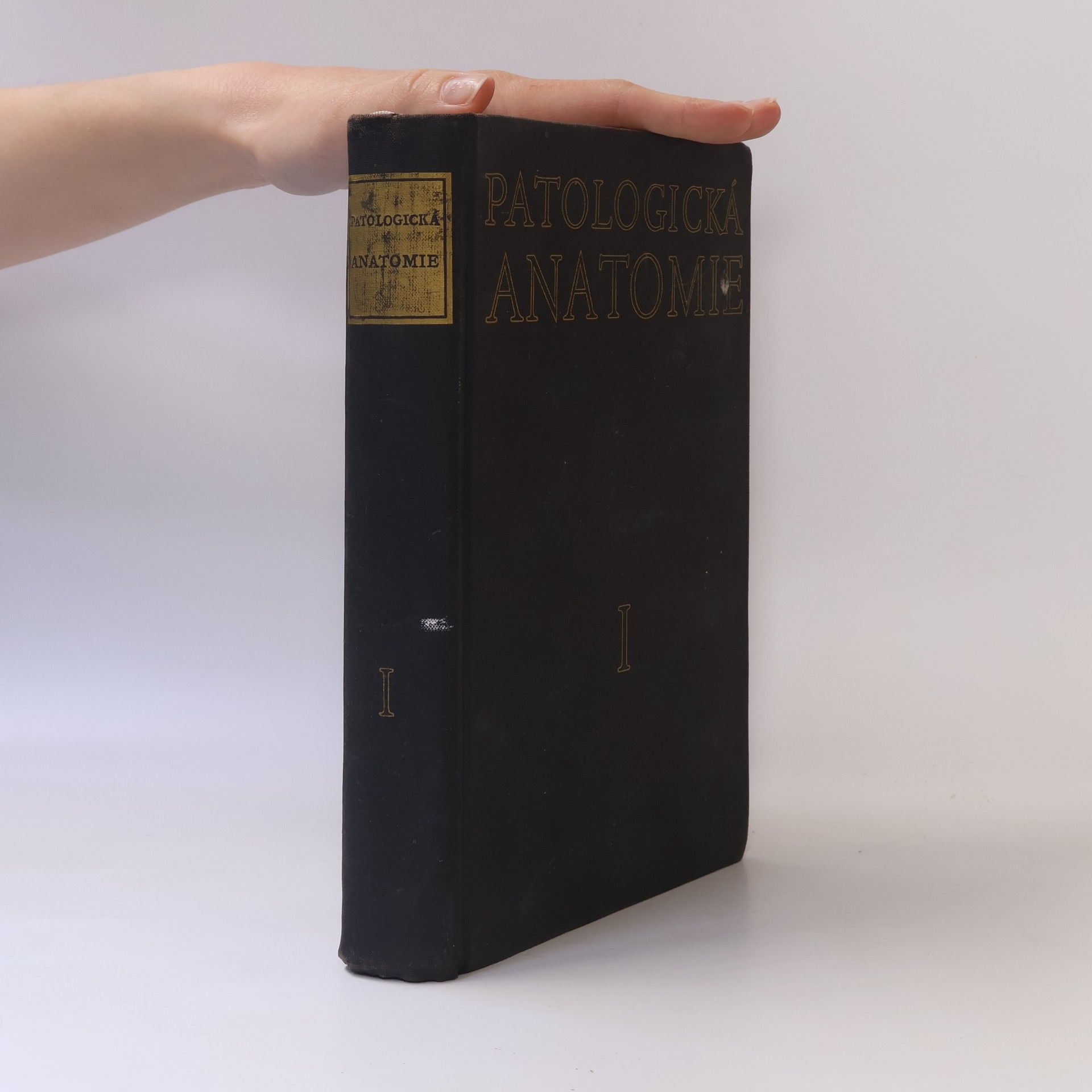 Kolektív autorov Patologická anatomie 1