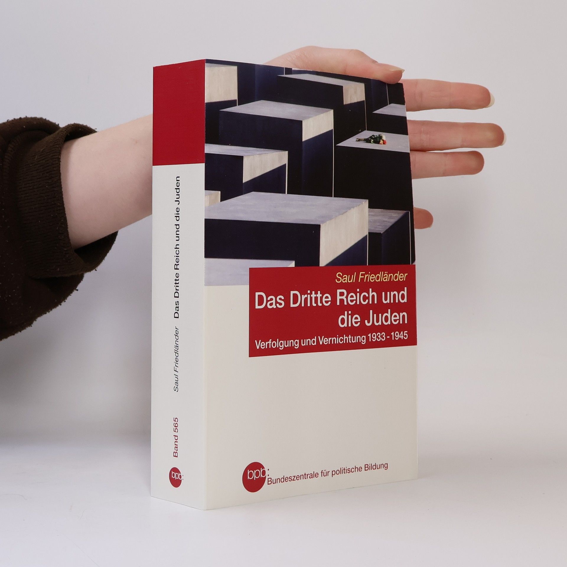 Saul Friedländer Das Dritte Reich und die Juden