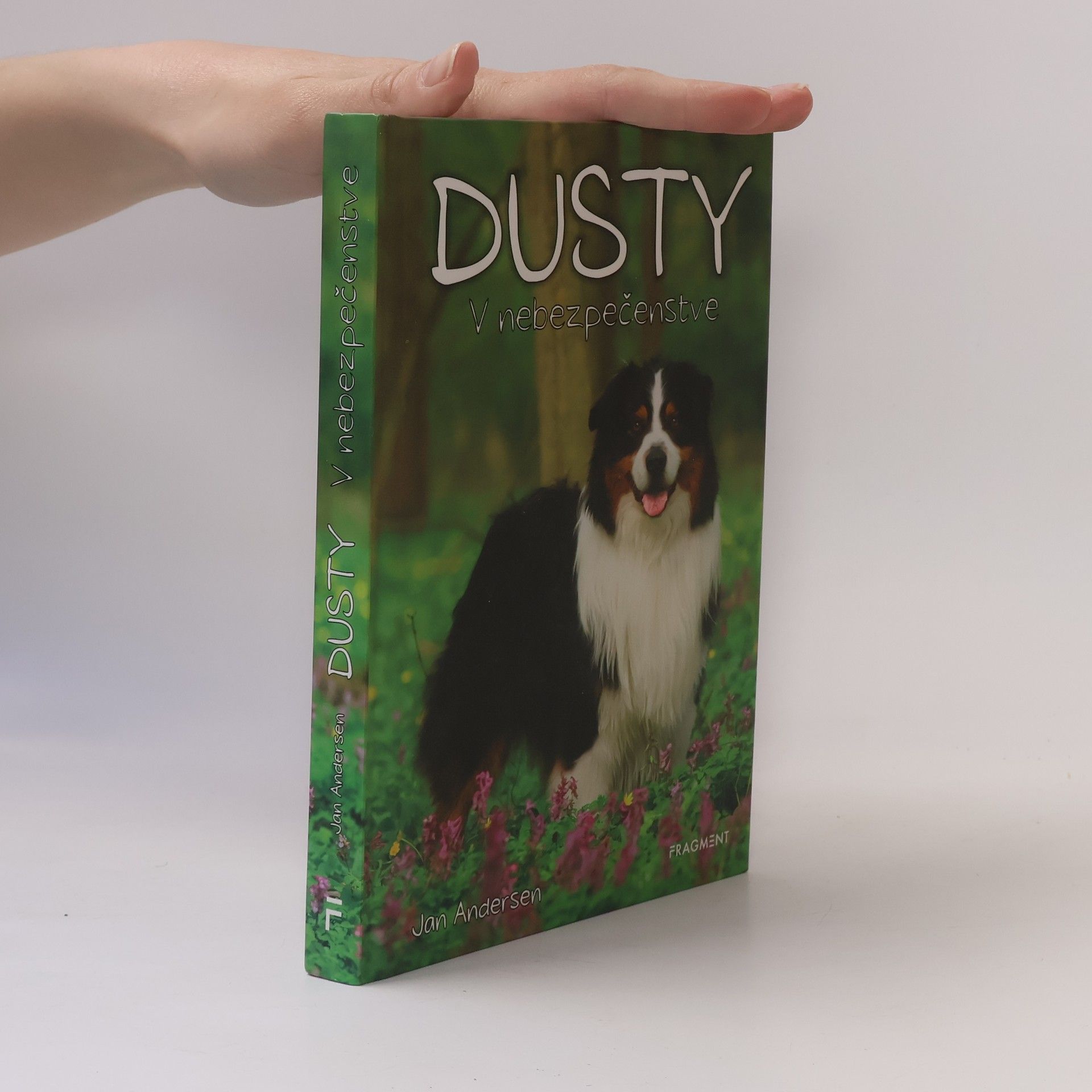 Wolfram Hänel Dusty: V nebezpečenstve