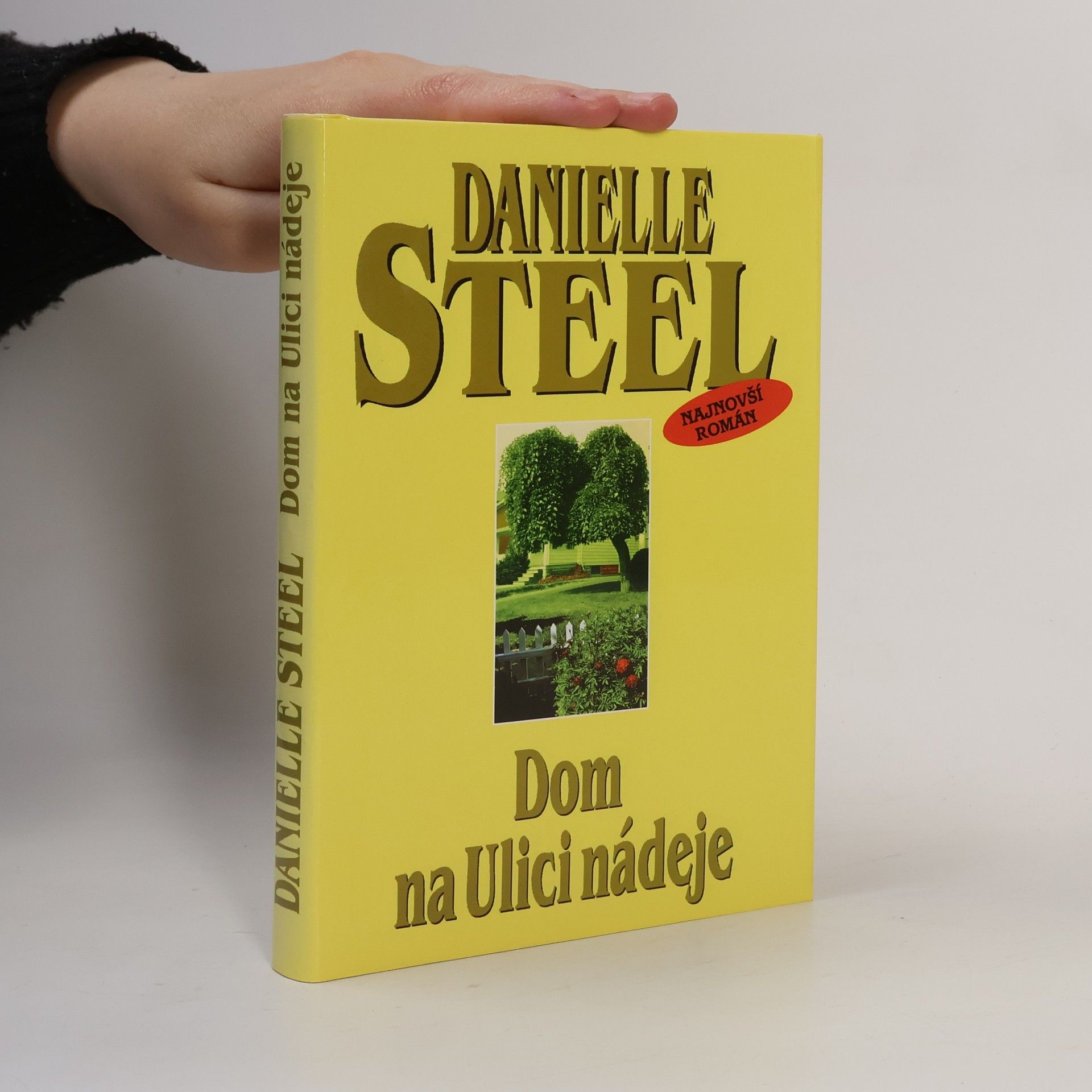 Danielle Steel Dom na Ulici nádeje
