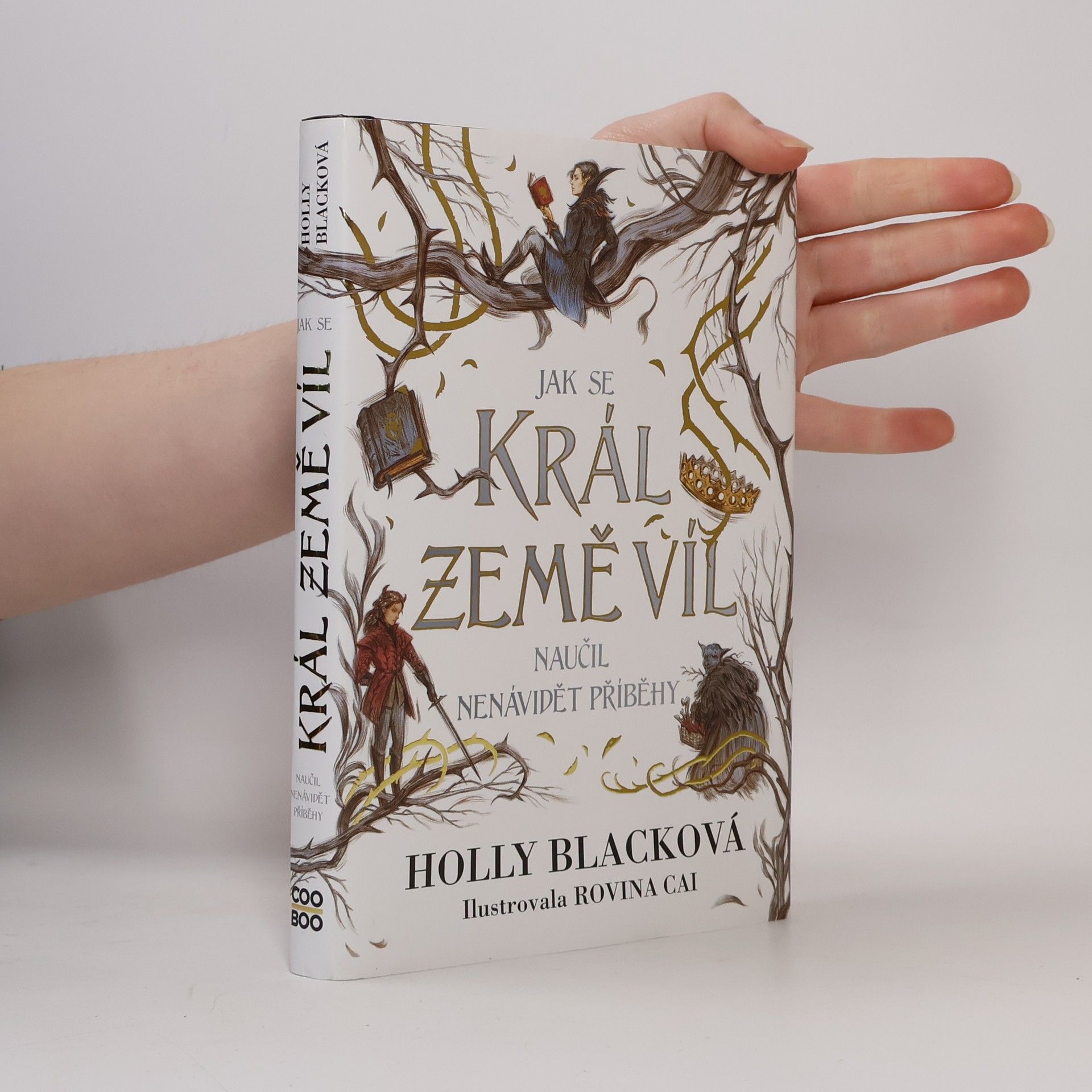 Holly Black Jak se král Země víl naučil nenávidět příběhy